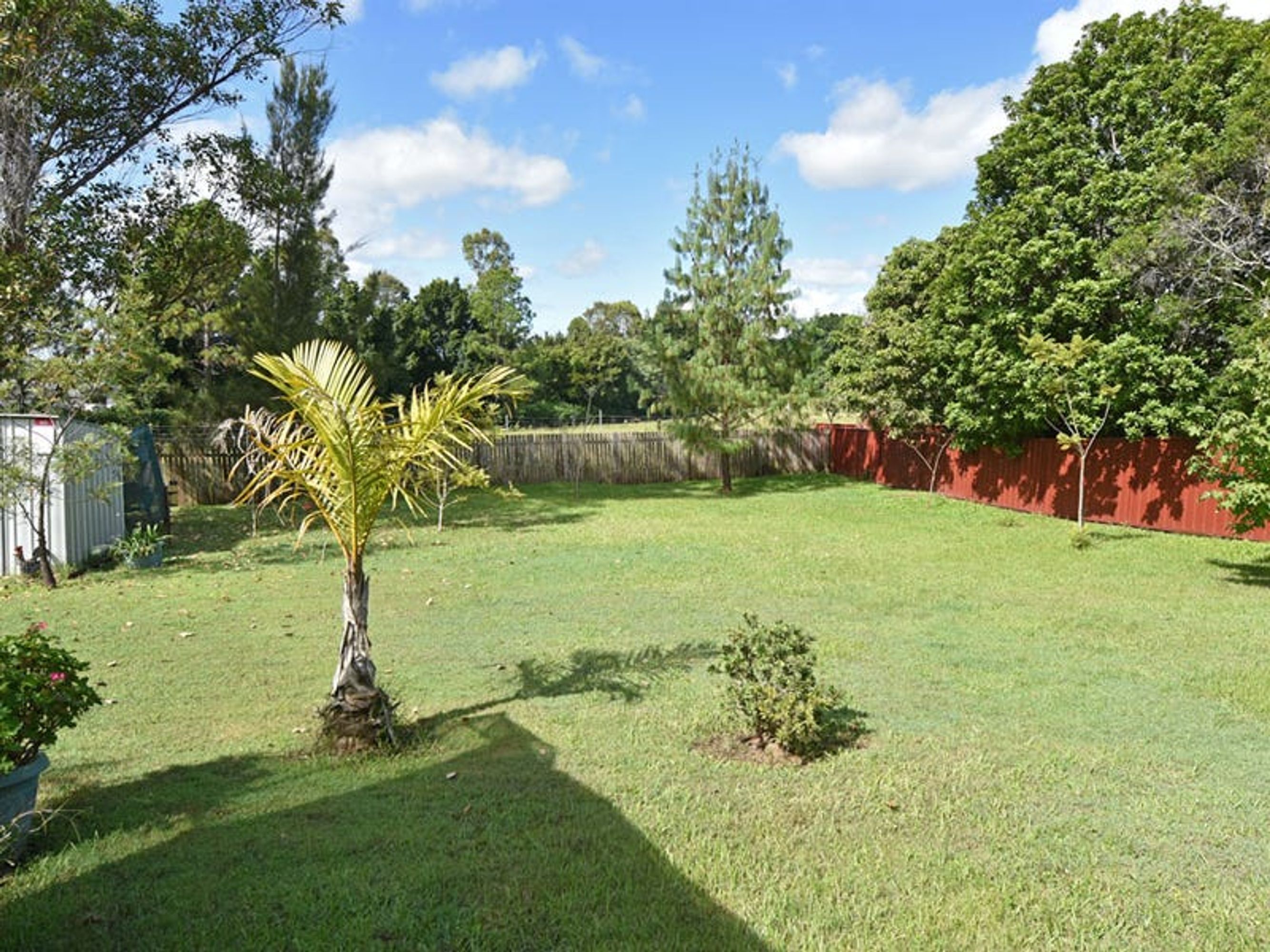 18 Aquarius Drive, Junction Hill - Thumbnail 4