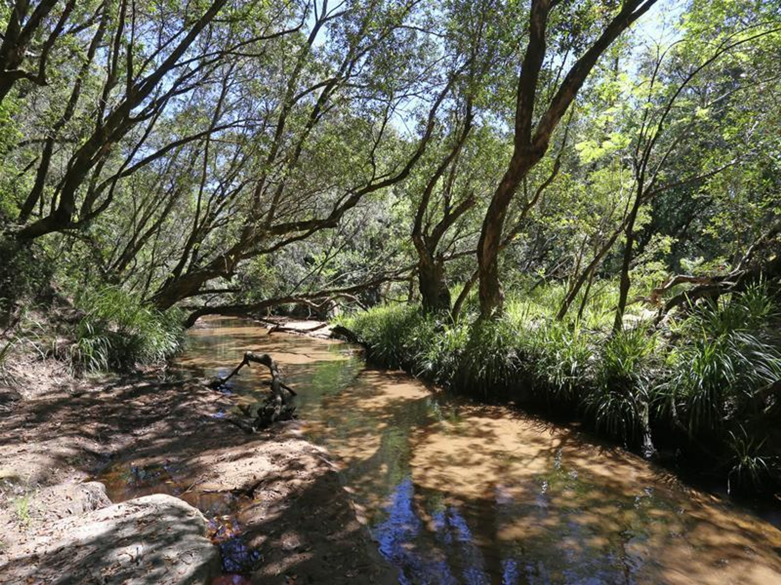 1412 Clarence Way, Whiteman Creek - Thumbnail 3