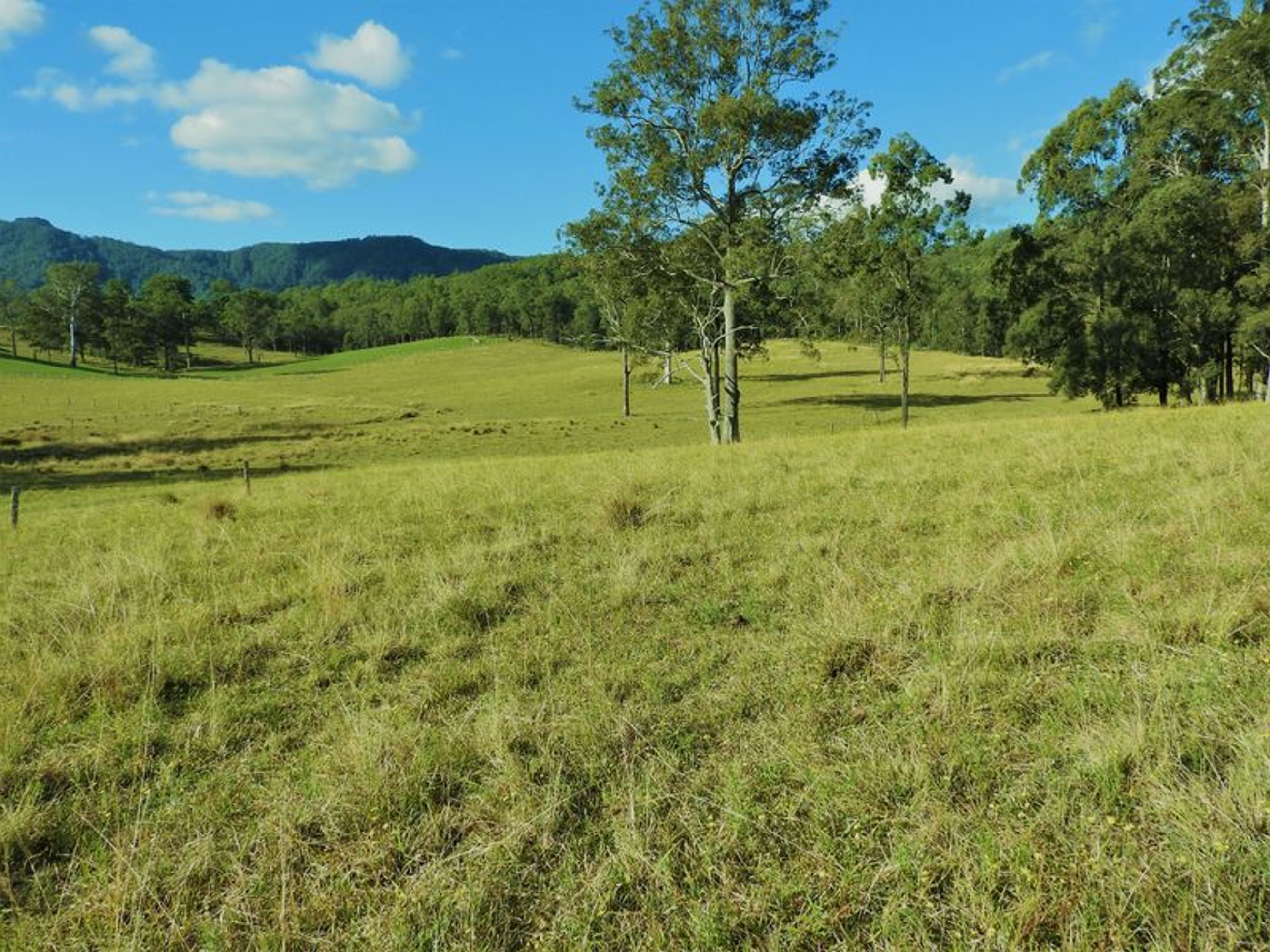 Upper Lansdowne, Upper Lansdowne - Thumbnail 8