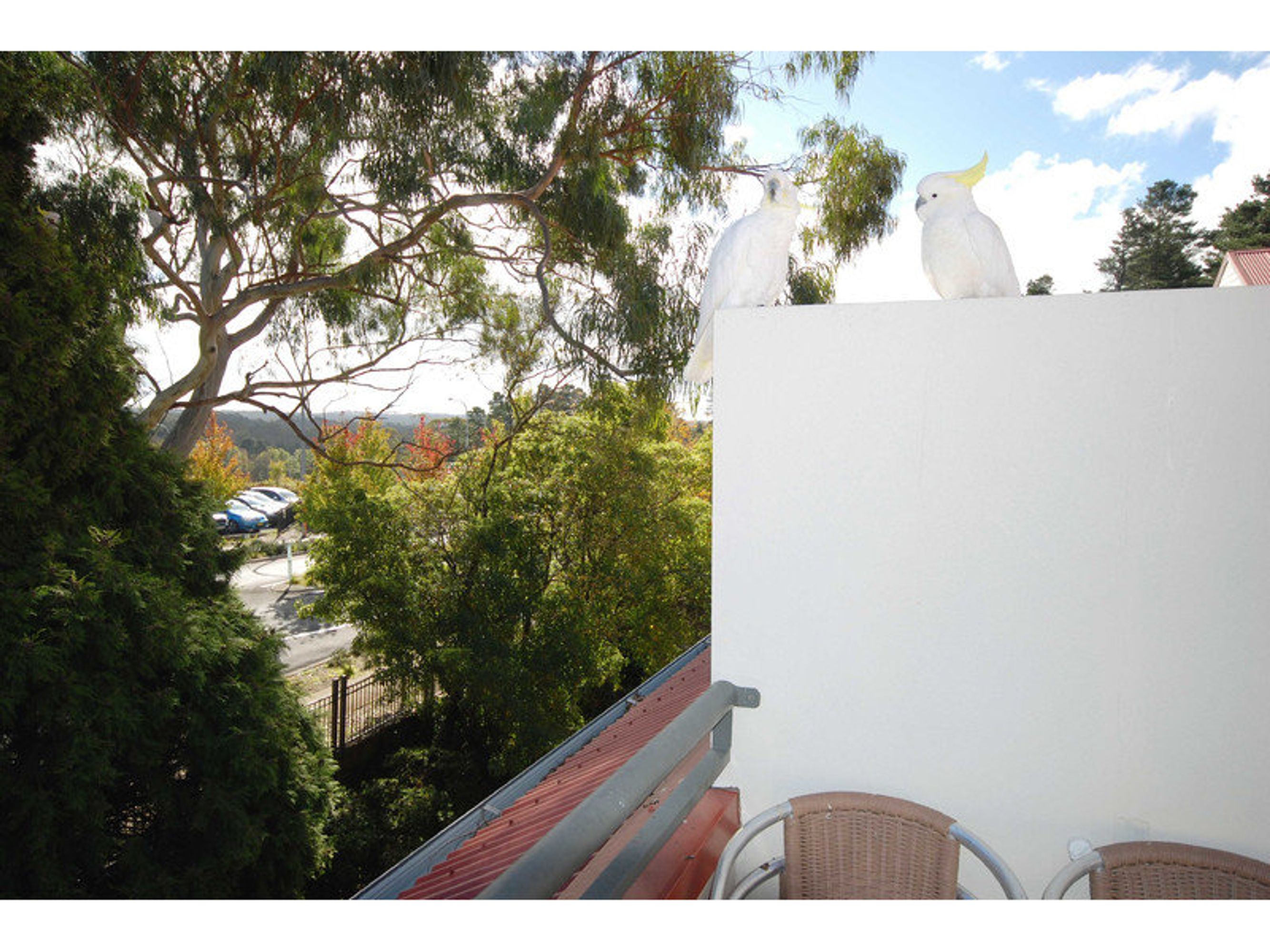 39 & 40/100 - 116 Leura Mall, Leura - Thumbnail 2