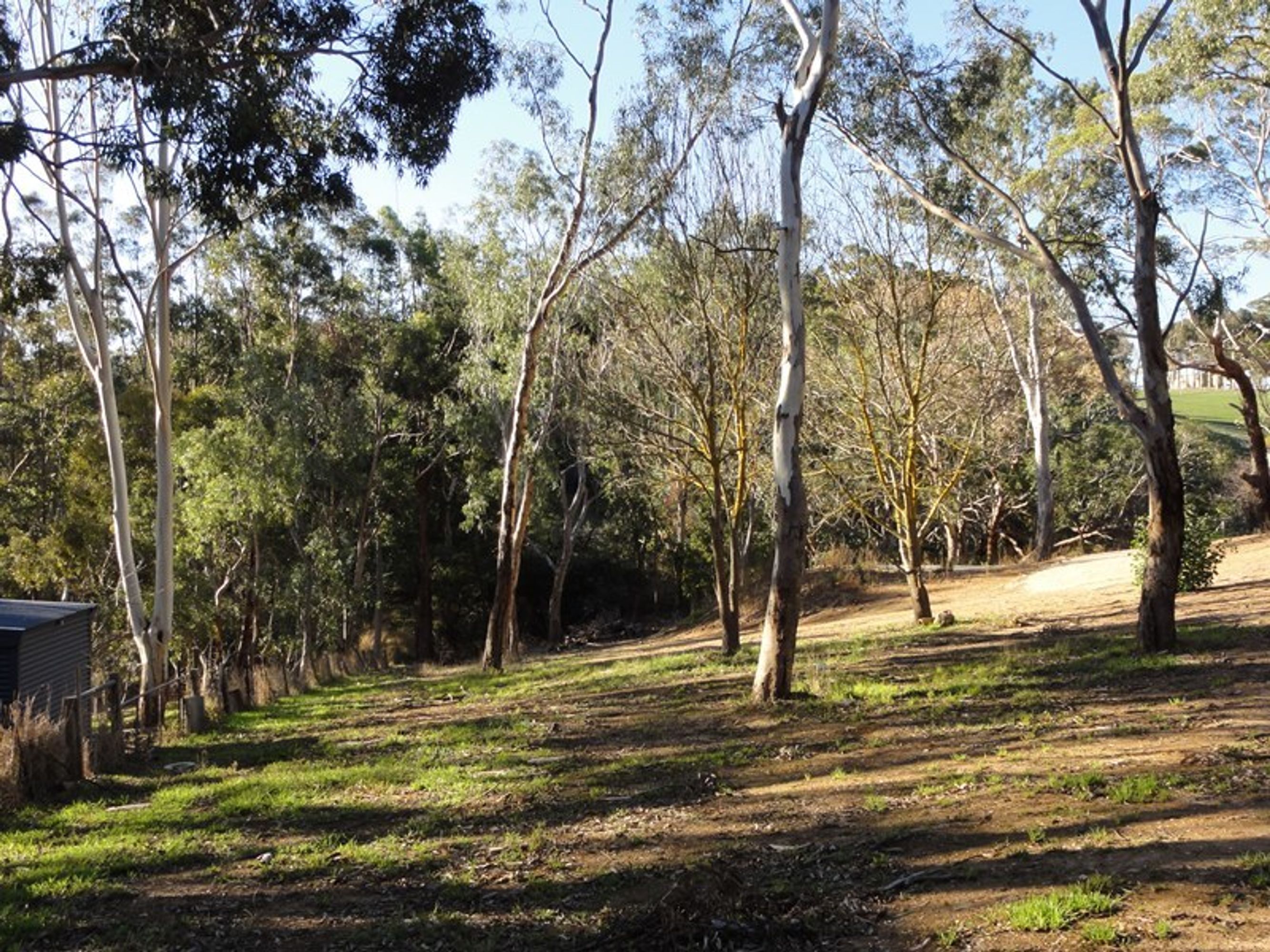 7 Gratwick Street, Echunga, SA 5153, Echunga - Thumbnail 3
