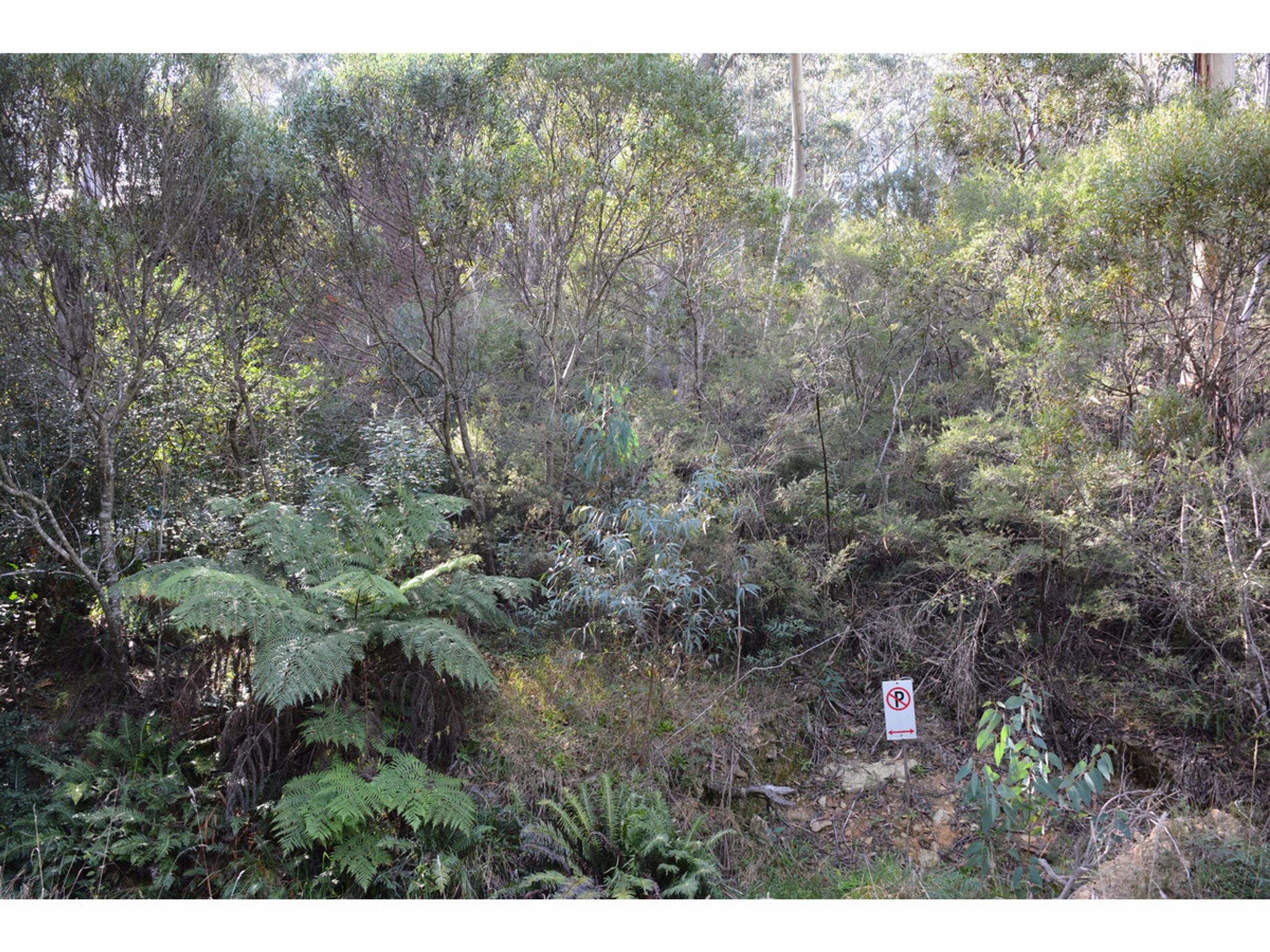 40 Neale Street, Katoomba - Thumbnail 4