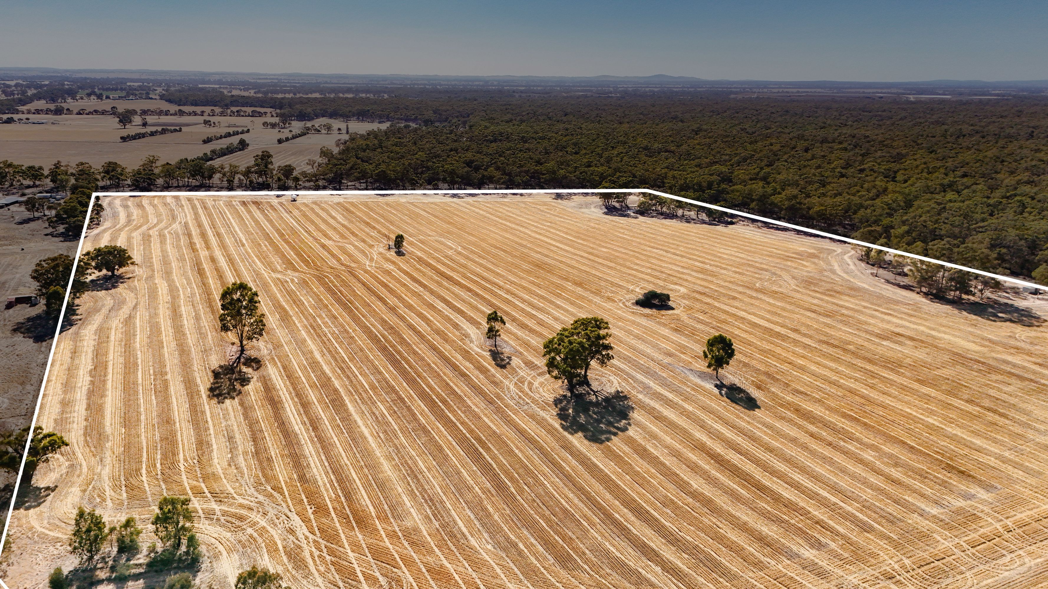 99 Winzar Lane, Goornong, Goornong - Thumbnail 2