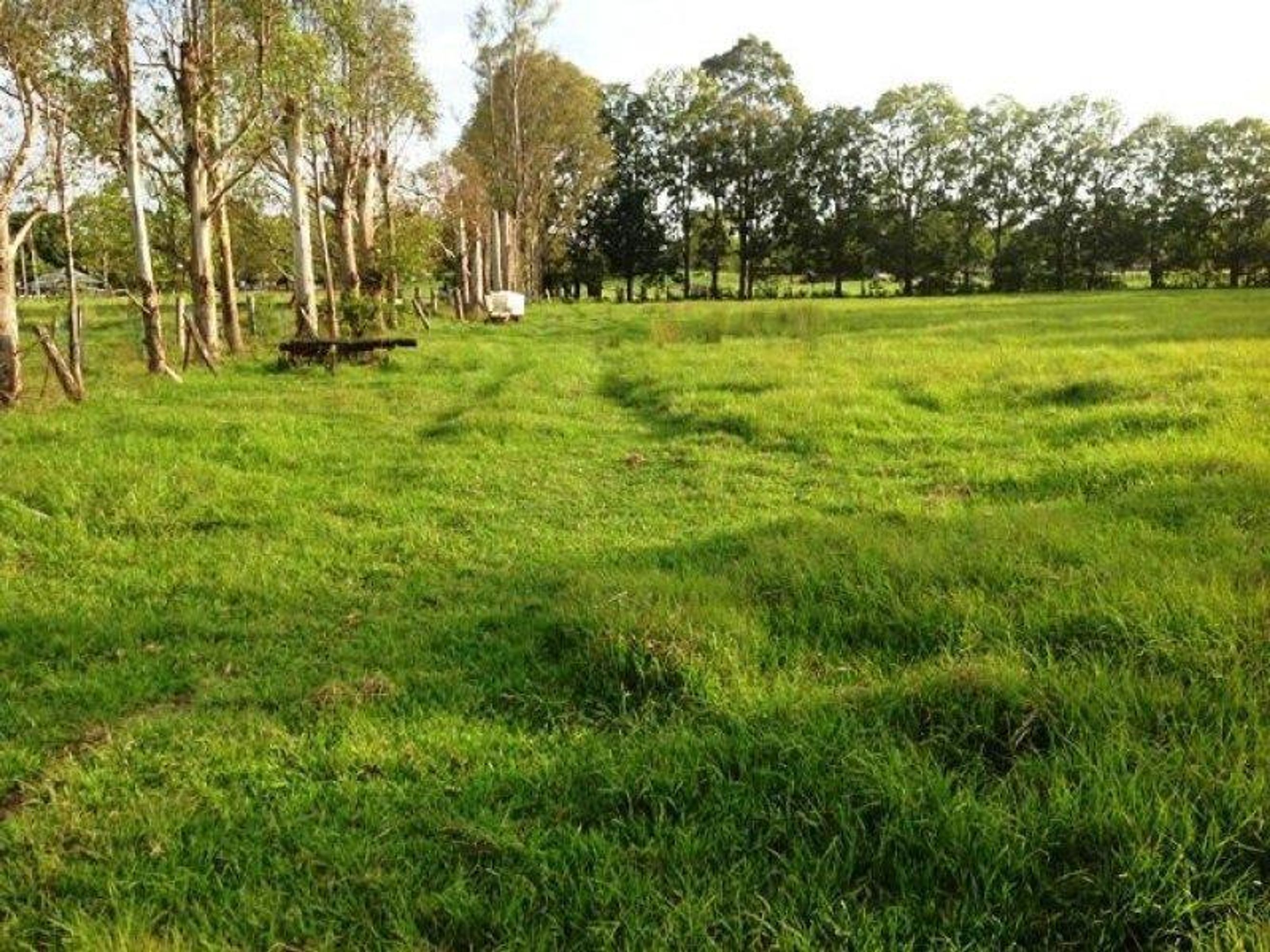 Lot 309 & 312/Lot 309 & 312/309-312 Vere Street, South Grafton - Thumbnail 5