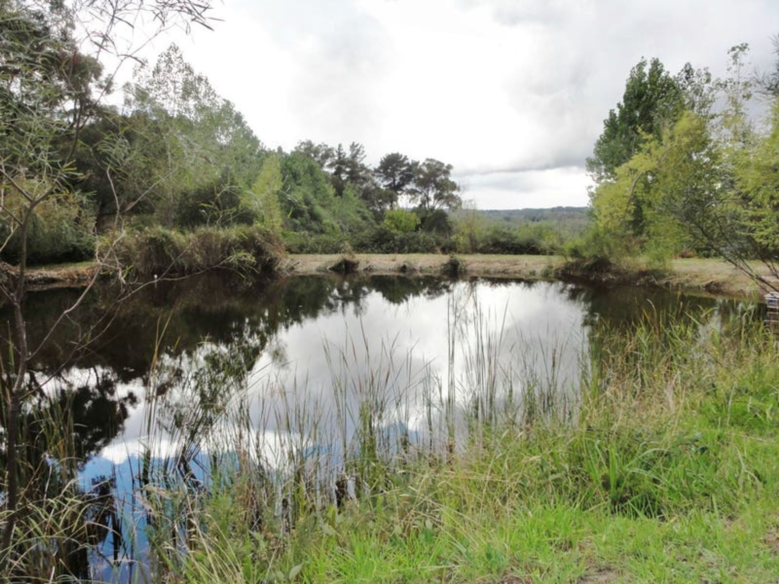 143 Boyle Swamp Road, Mylor, SA 5153, Mylor - Thumbnail 2