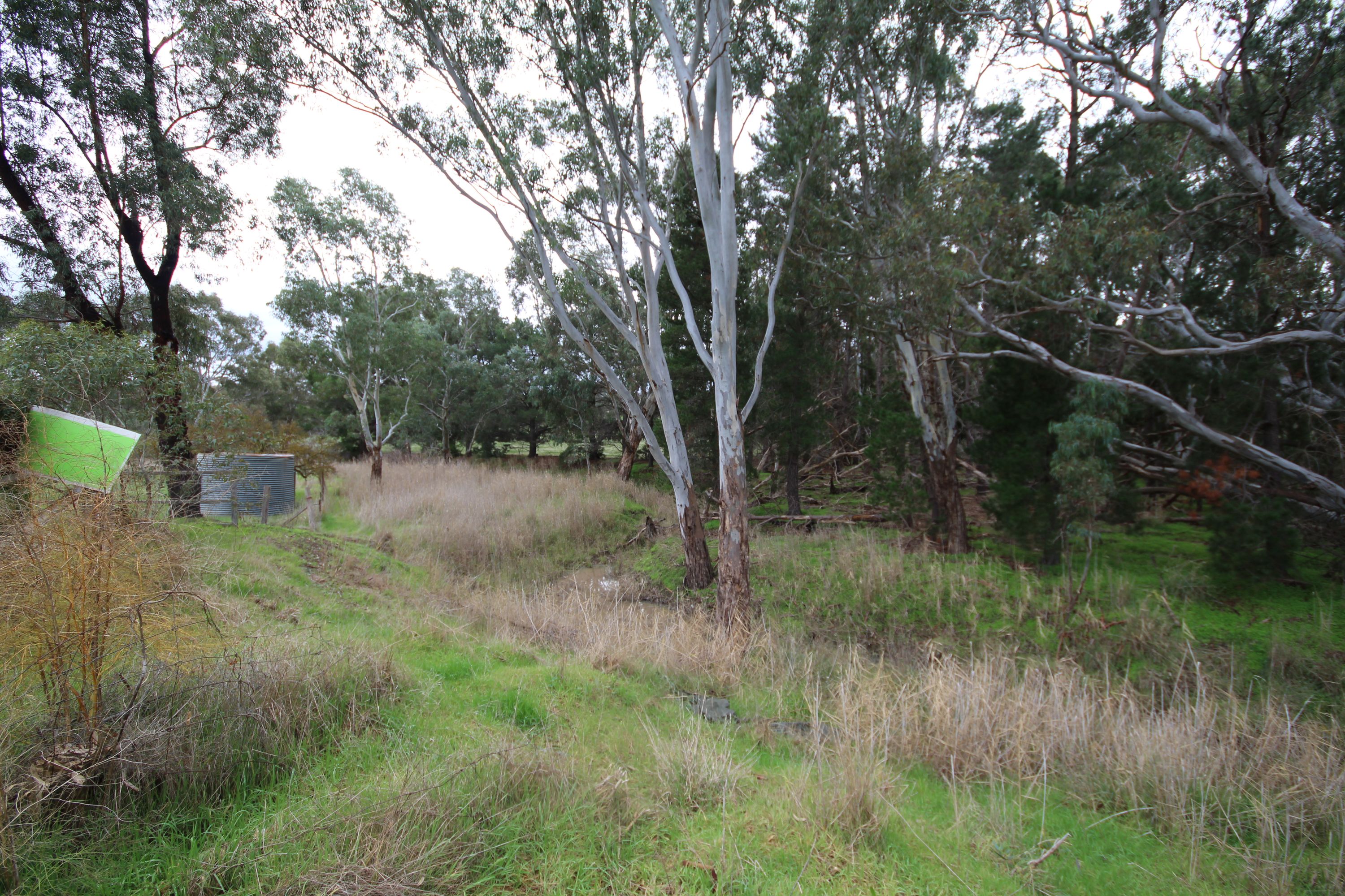 98 Murray Road, Carapooee VIC 3477, Carapooee - Thumbnail 2