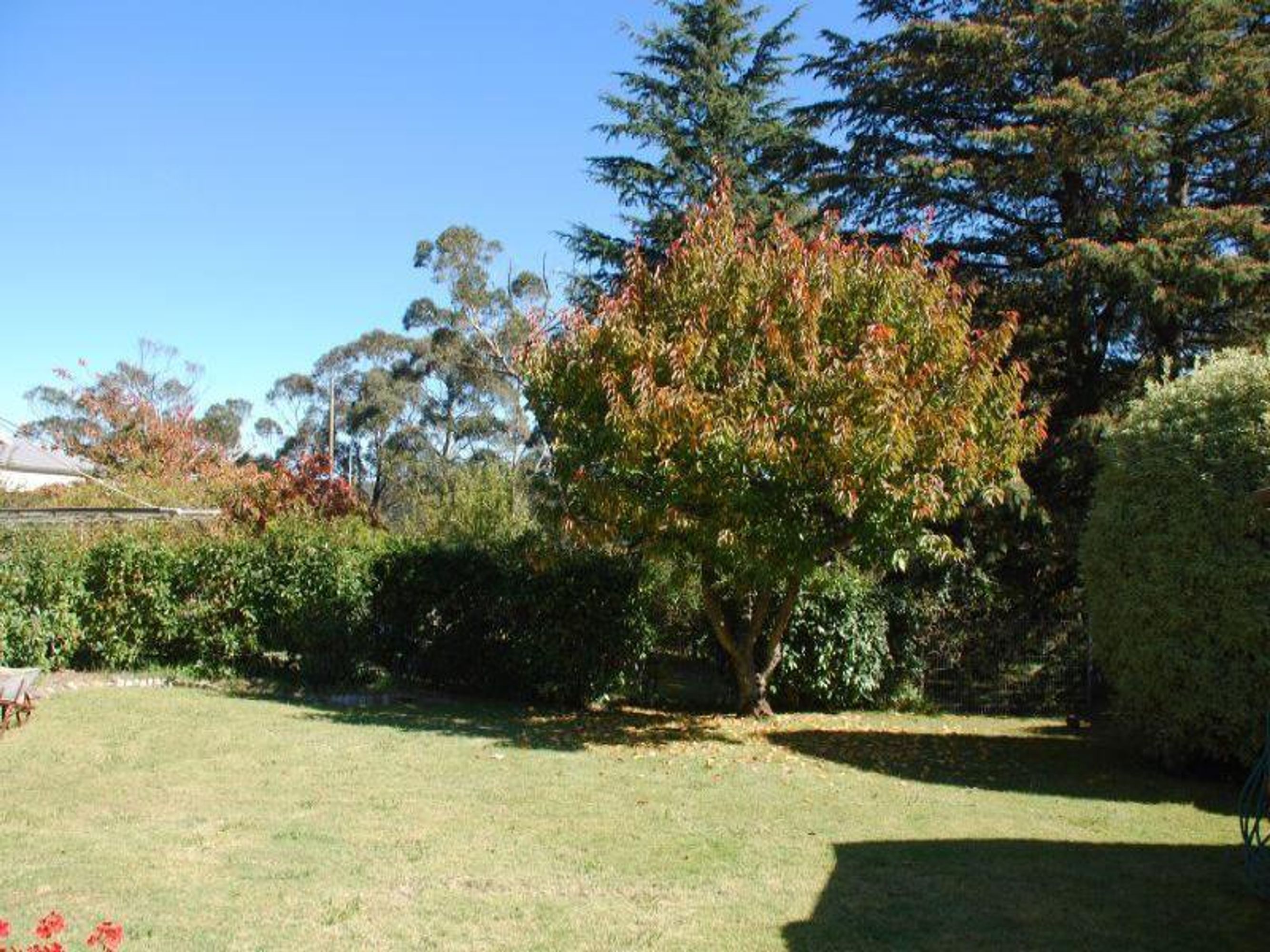 297 Katoomba St, Katoomba - Thumbnail 8