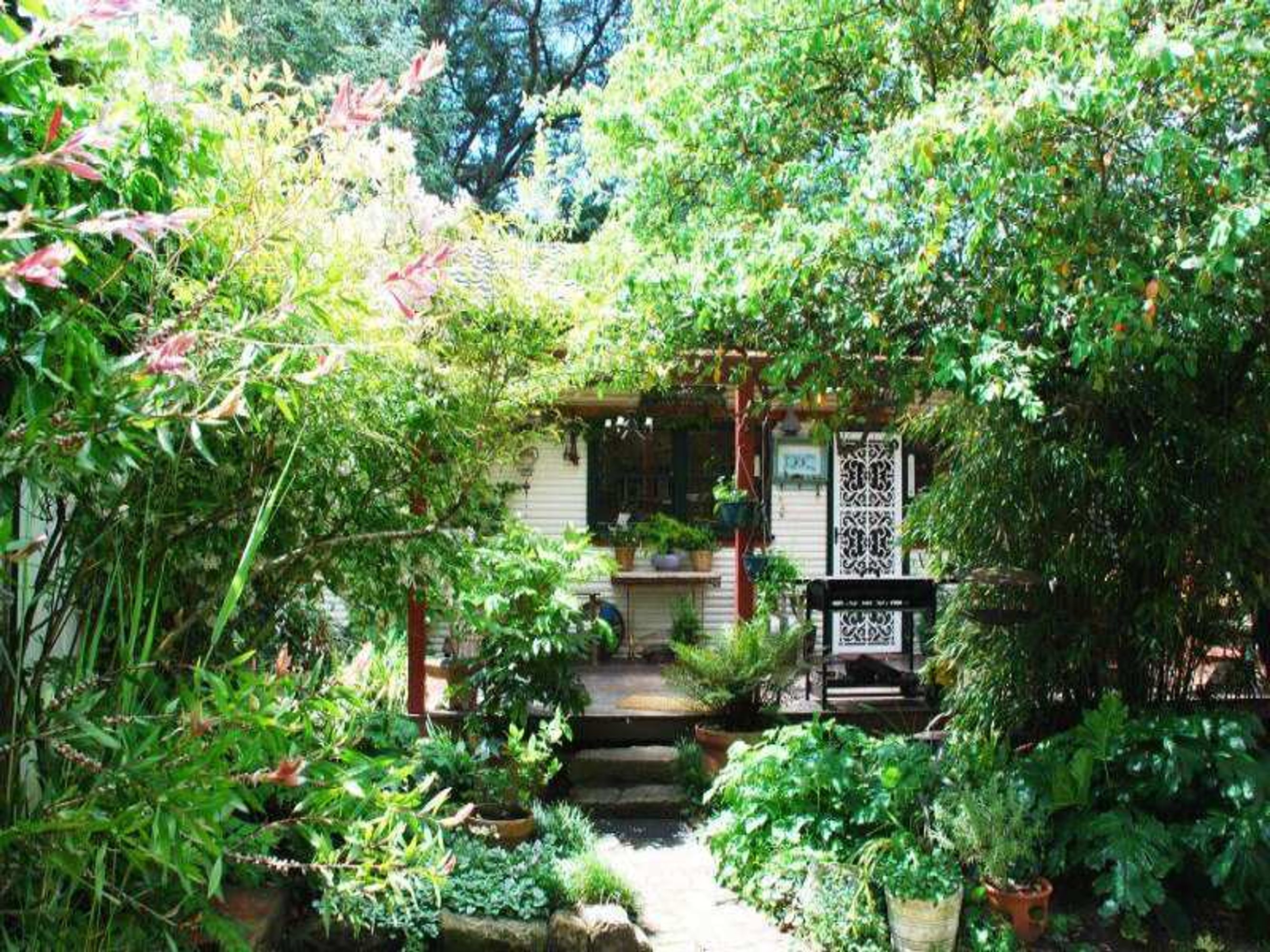 81 Govetts Leap Rd, Blackheath - Thumbnail 2