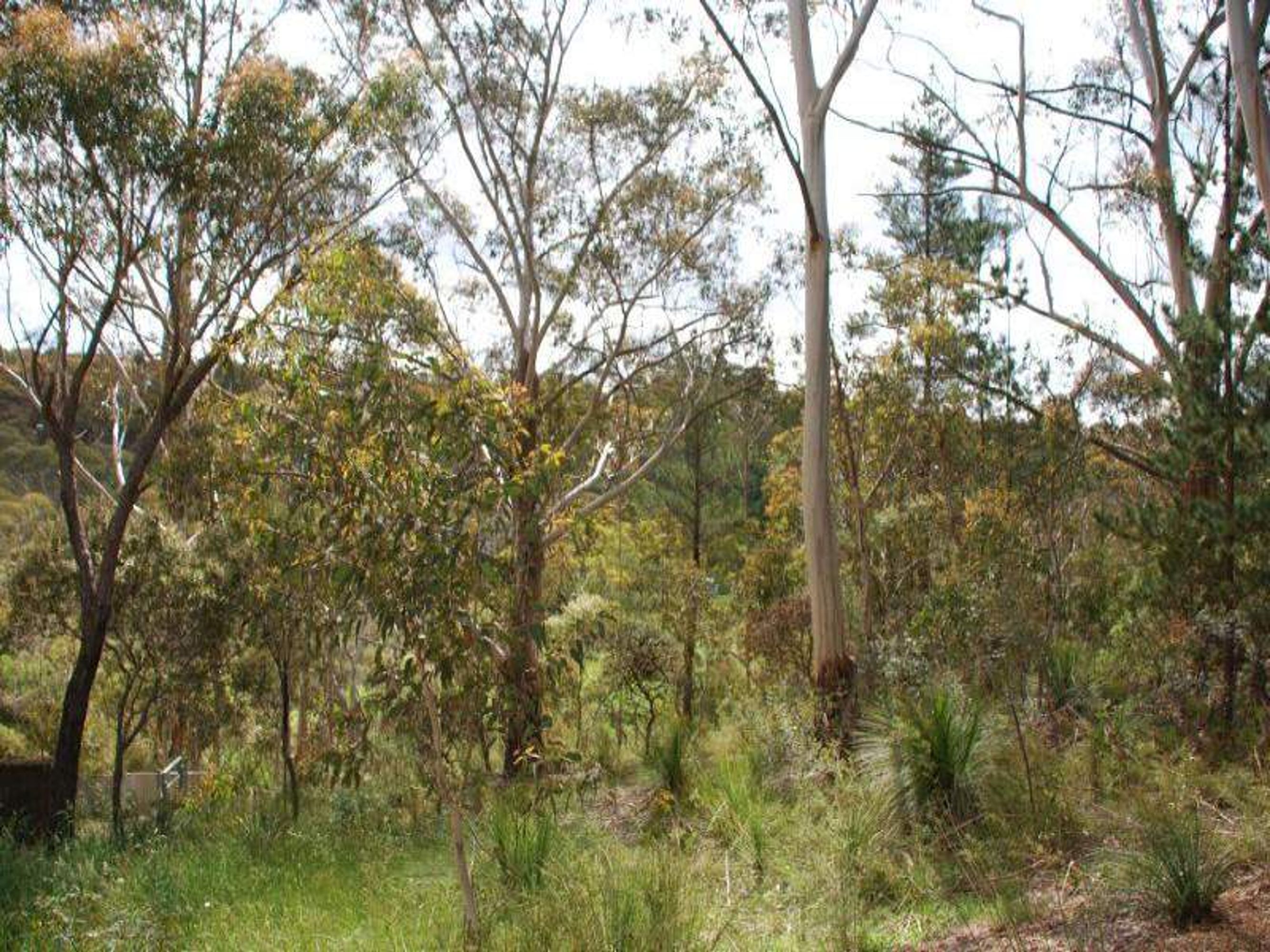 28 Gladstan Ave, Katoomba - Thumbnail 2