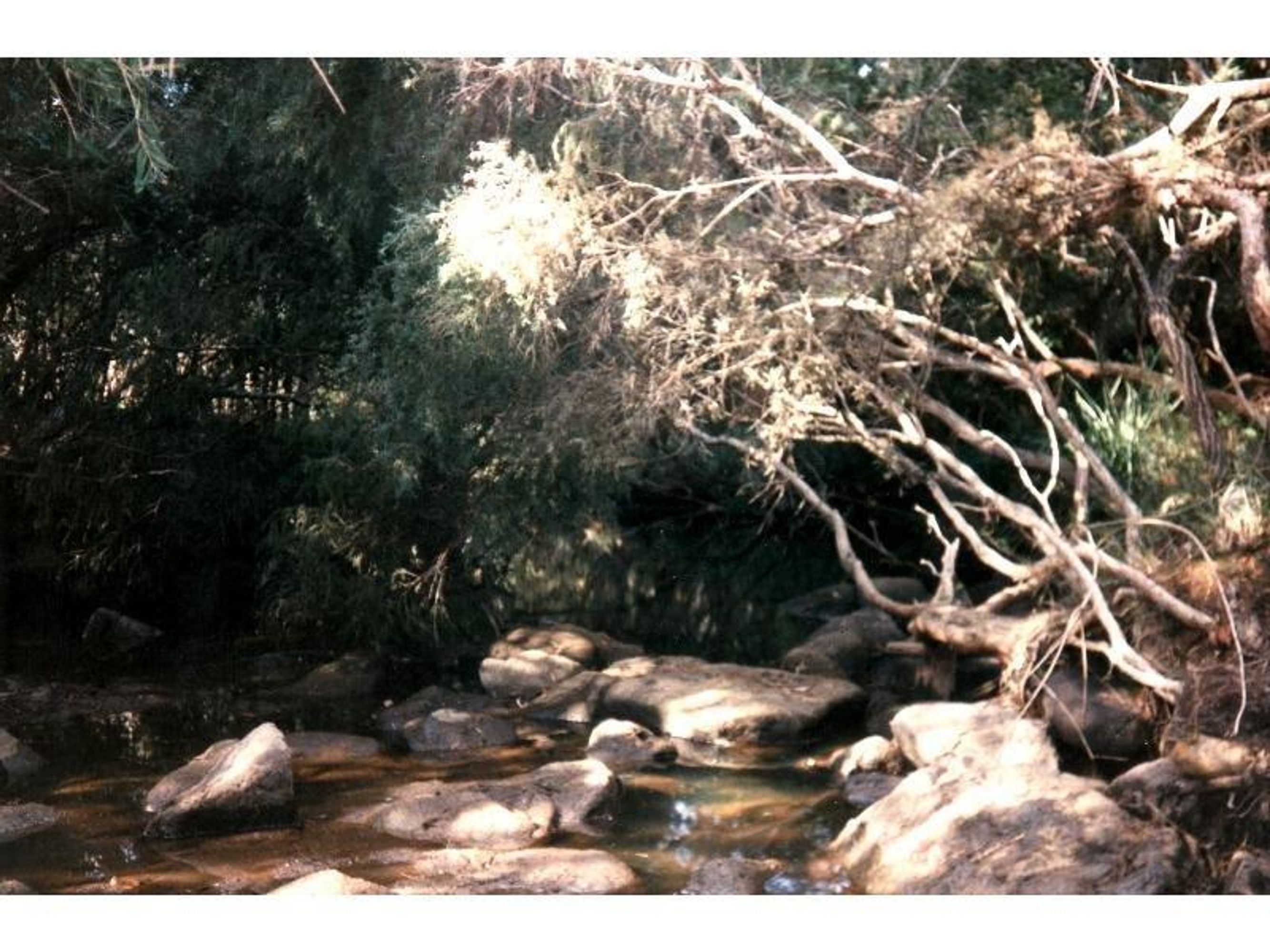 553 Rockview Road, Chambigne - Thumbnail 7