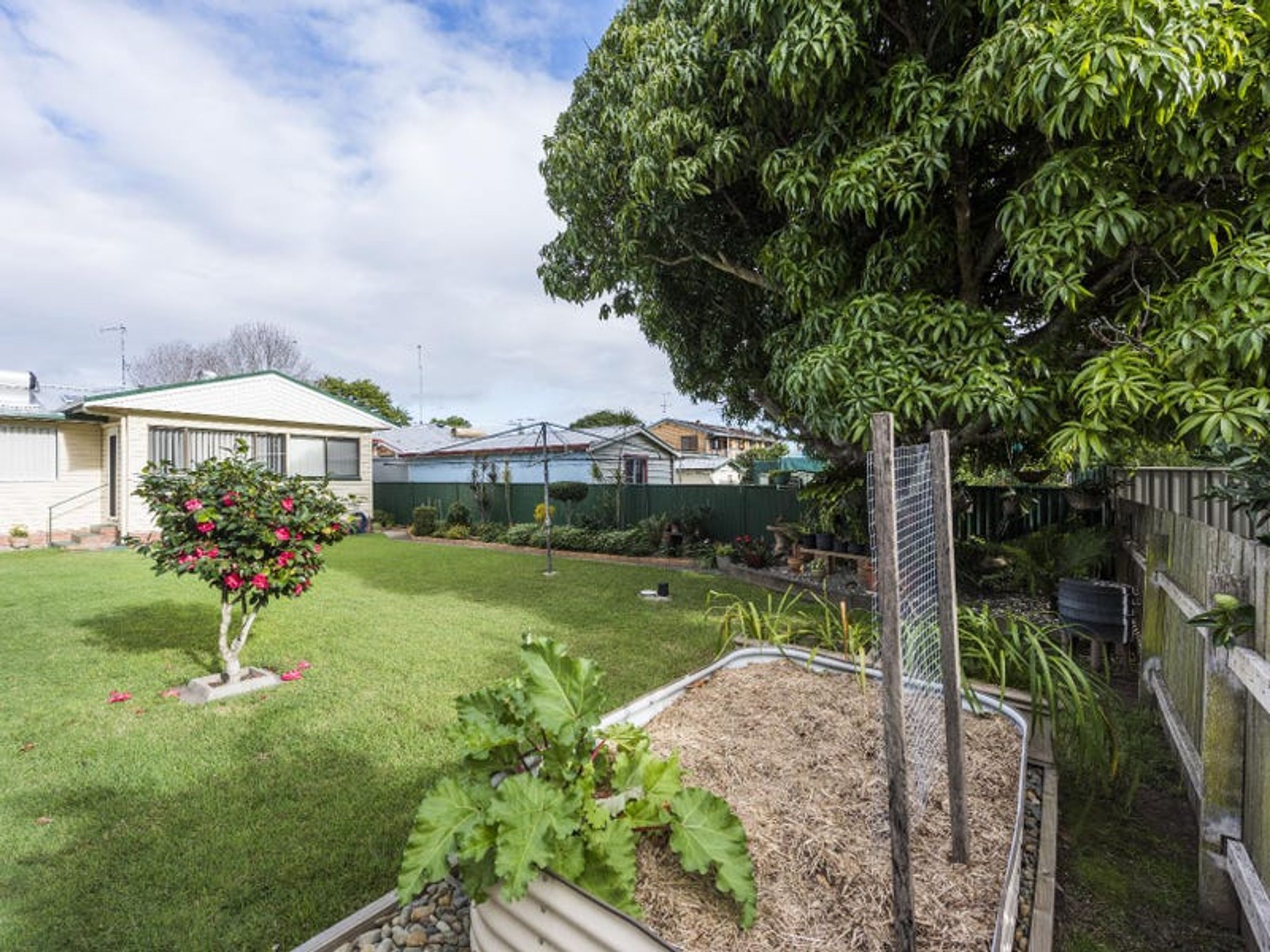 318 Oliver Street, Grafton - Thumbnail 7