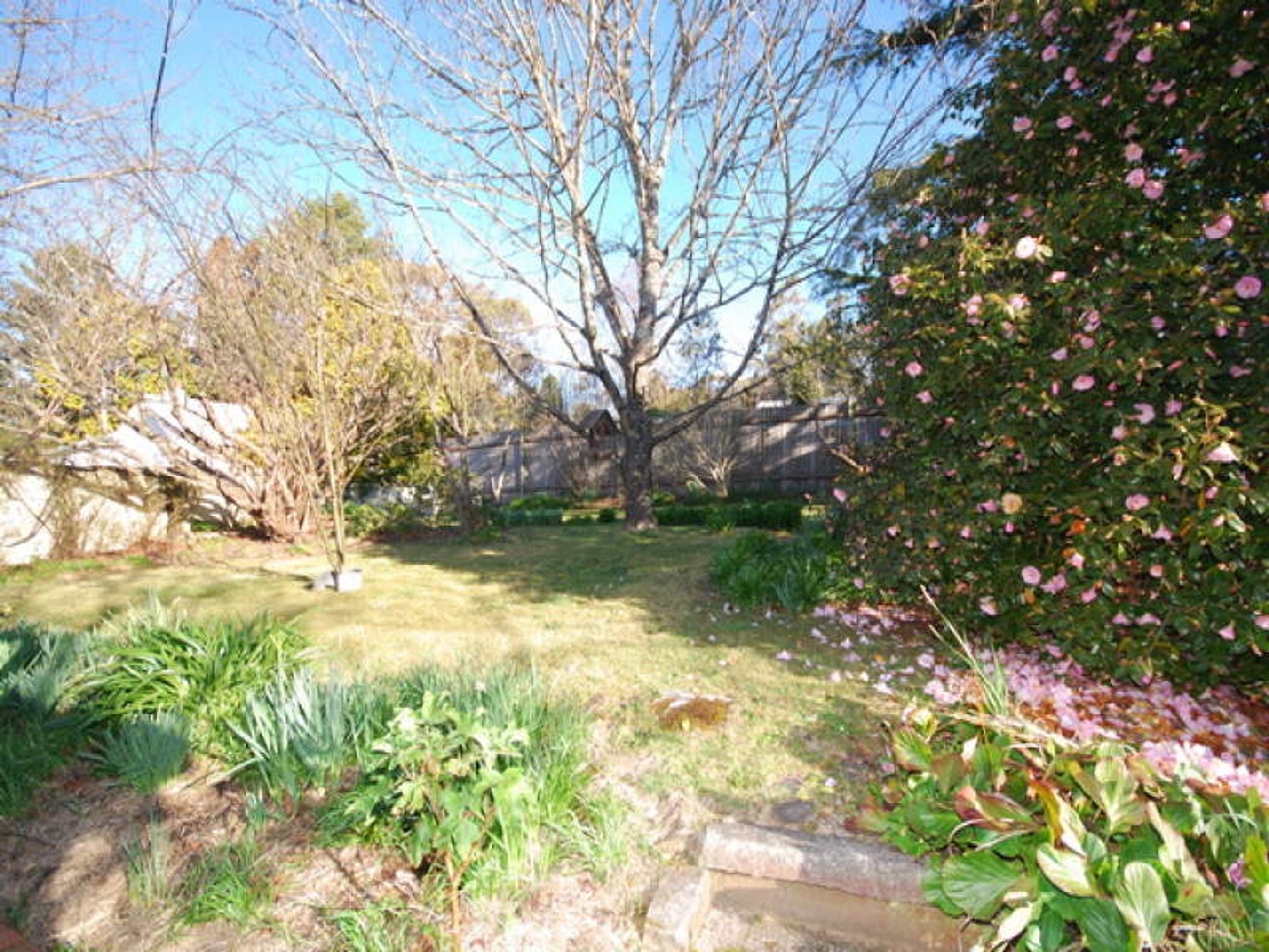 18 Jubilee Street, Katoomba - Thumbnail 2