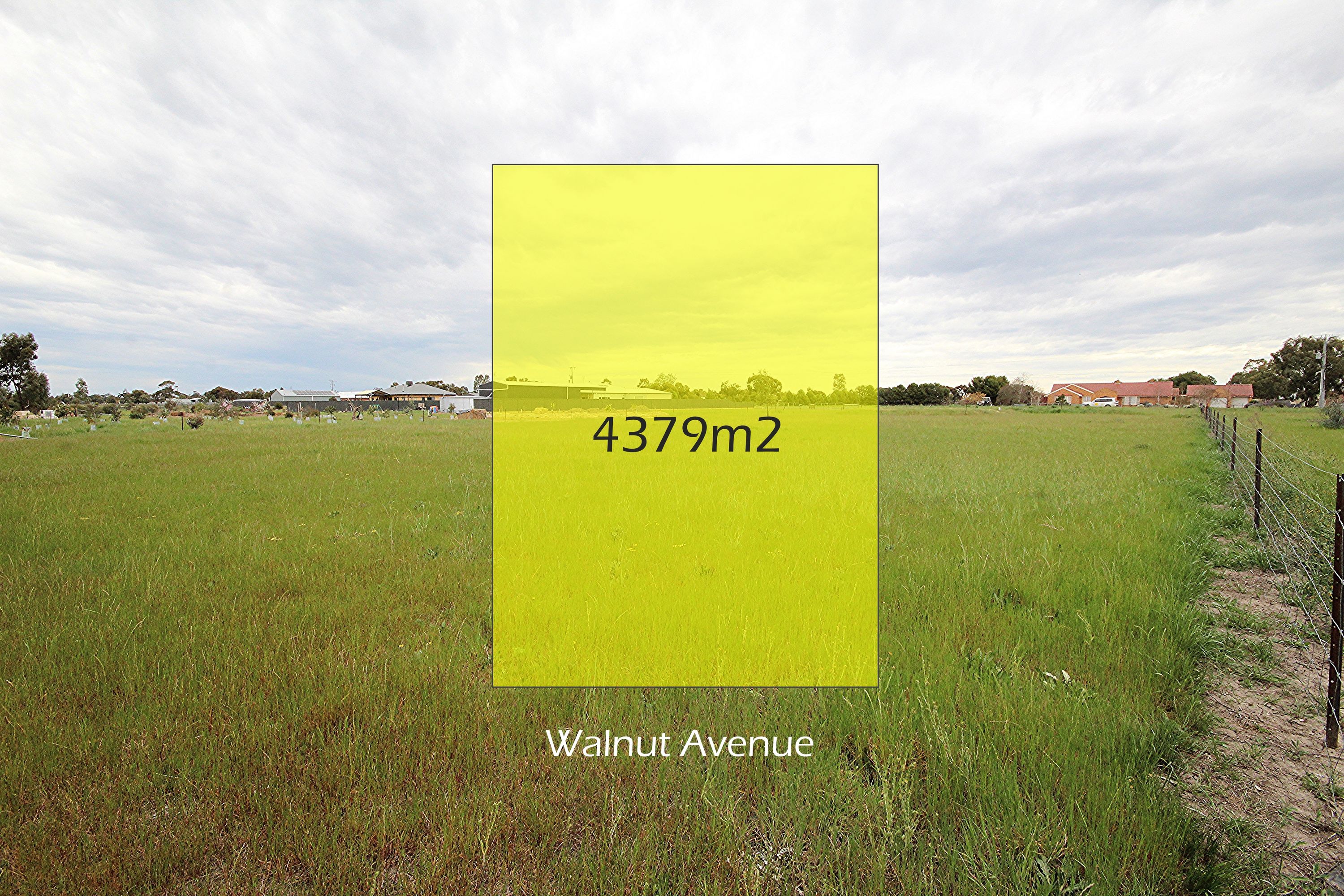 25 Walnut Avenue, Horsham, VIC 3400, Horsham - Thumbnail 6