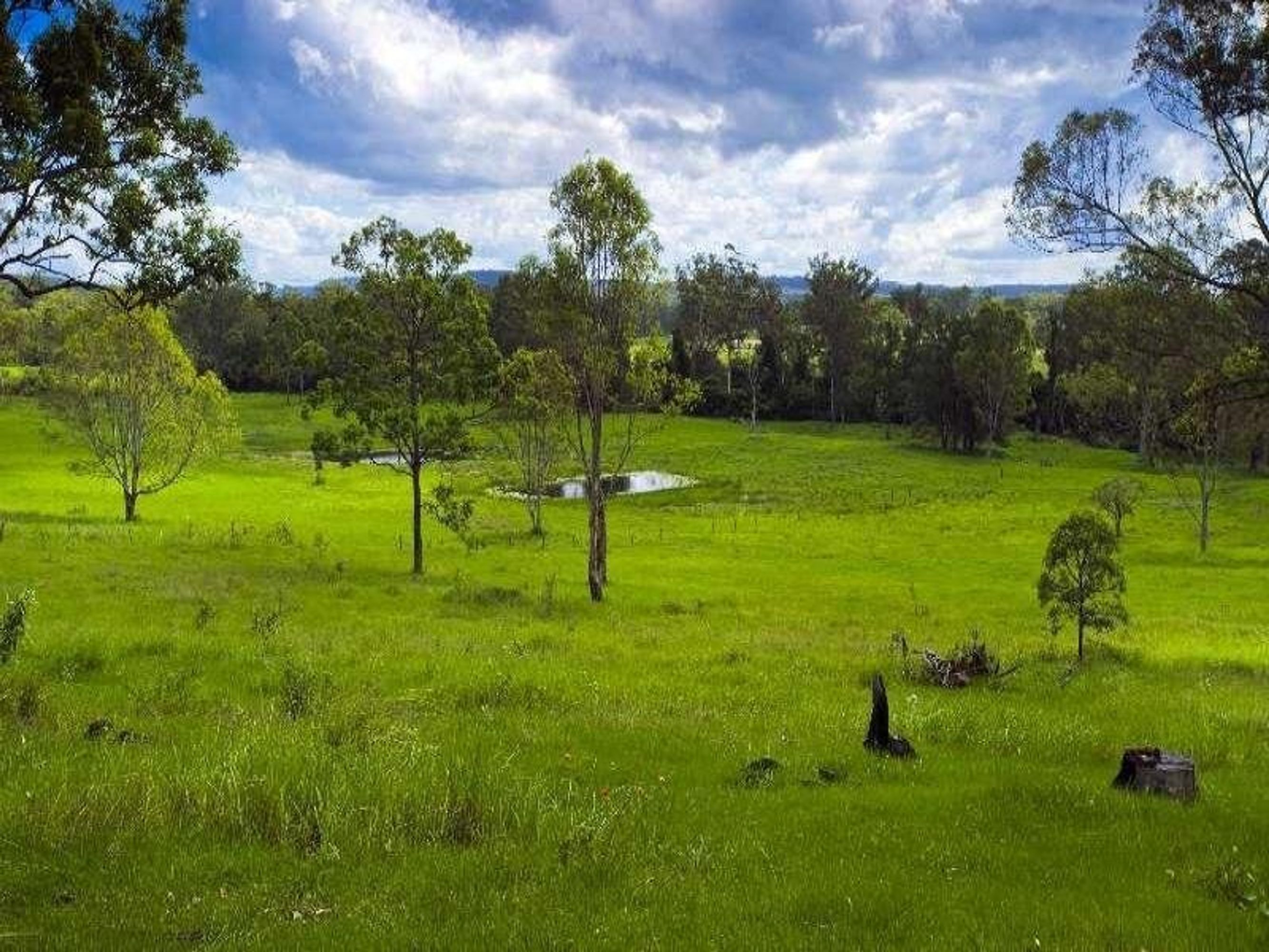 Kangaroo Creek Road, Coutts Crossing - Thumbnail 4