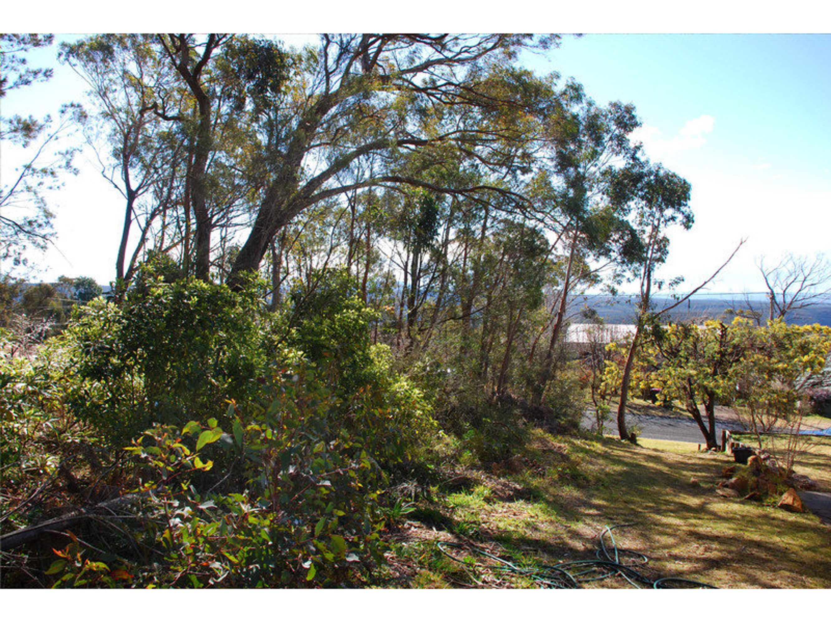 20 Panorama Crescent, Wentworth Falls - Thumbnail 2