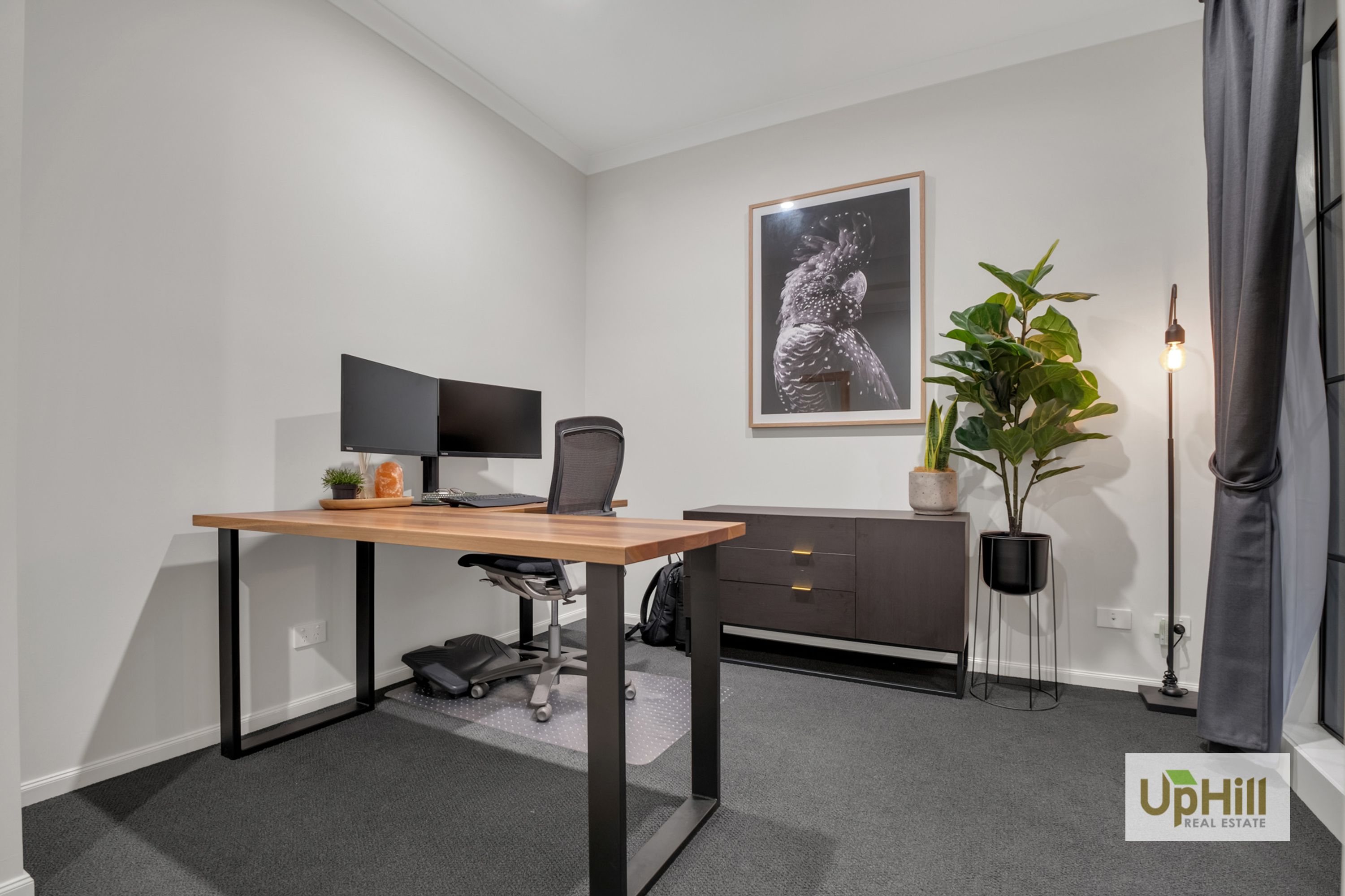 14 Semilla Street, Clyde North - Thumbnail 3