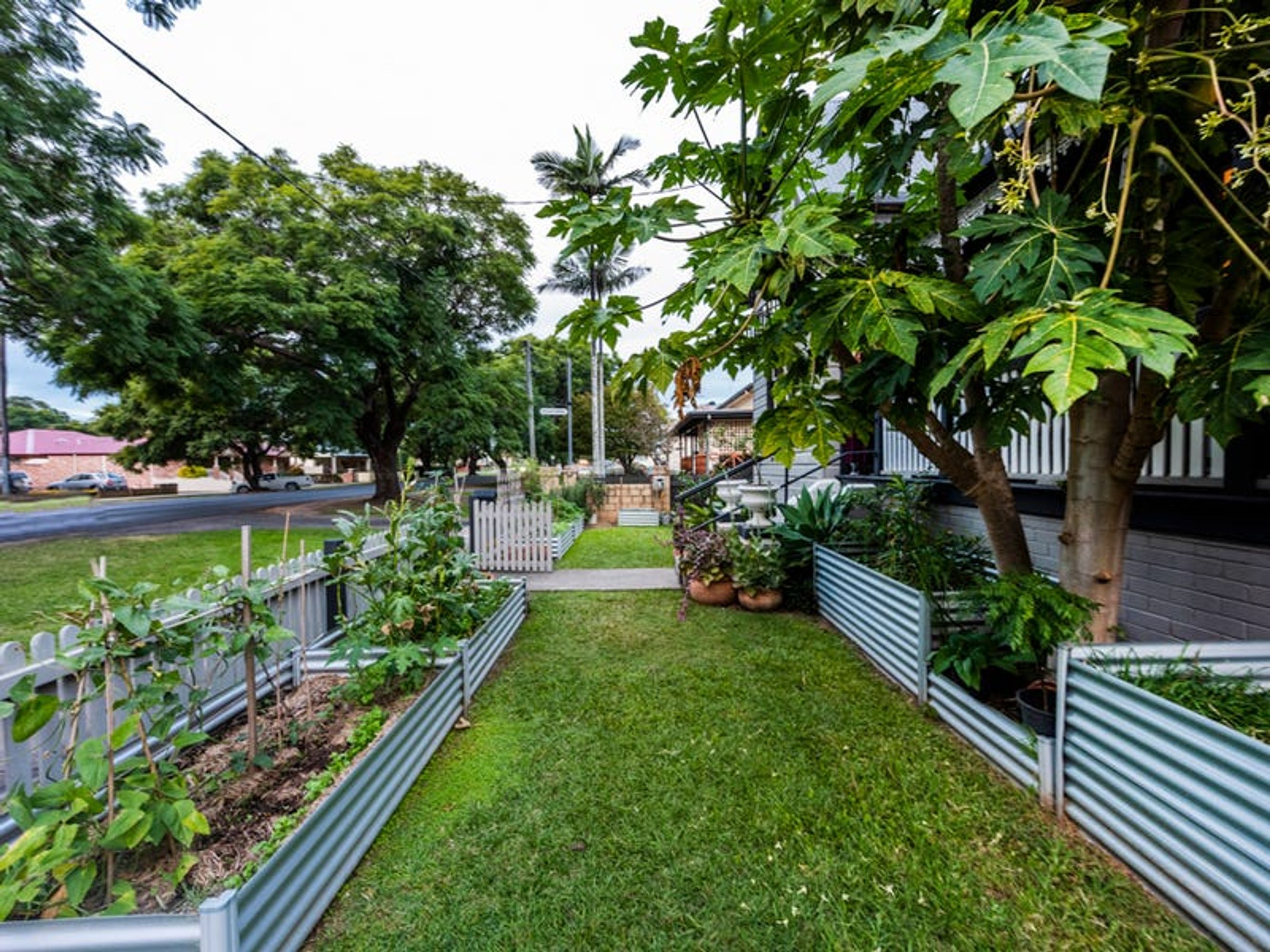 191 Pound Street, Grafton - Thumbnail 3