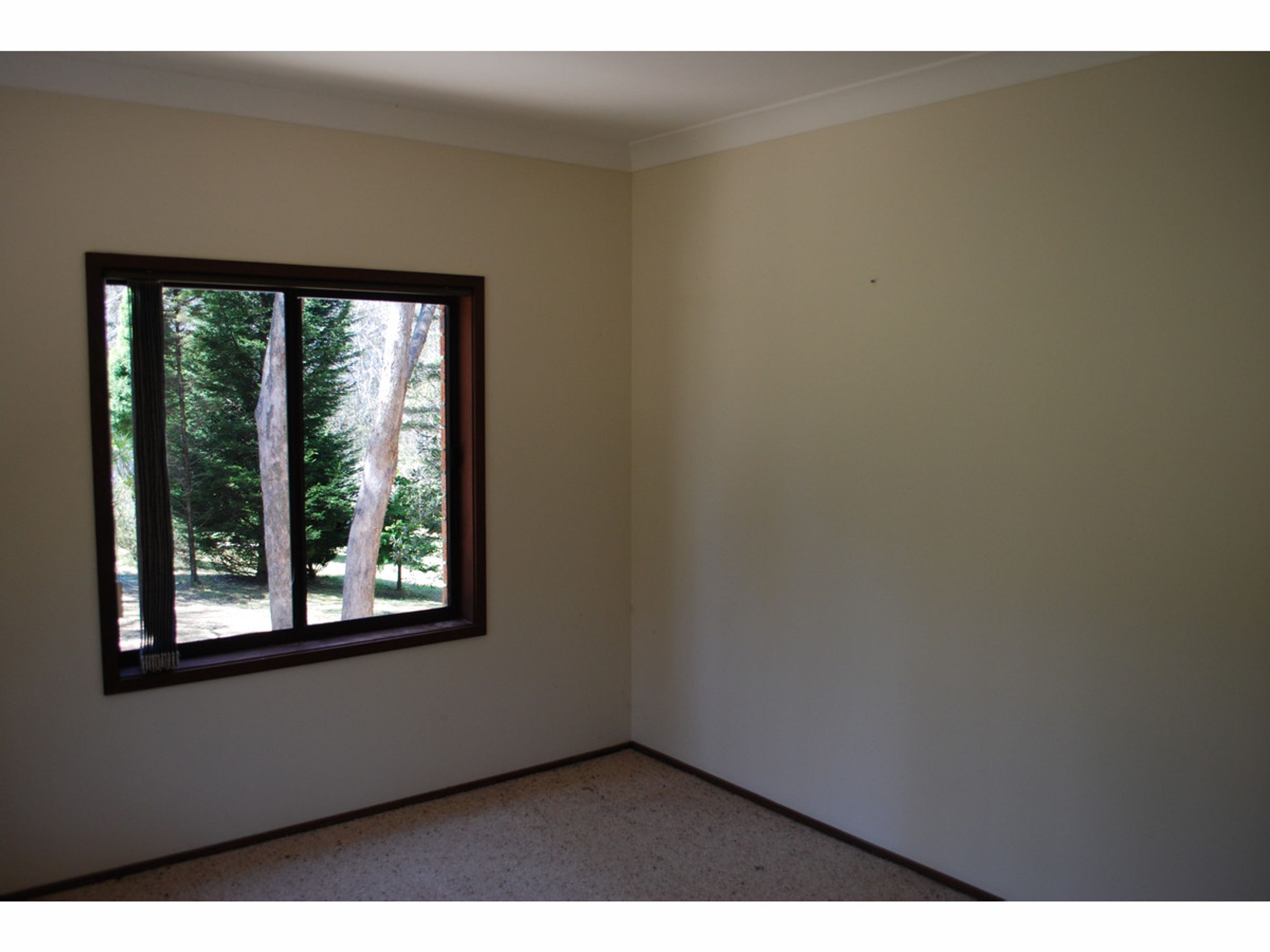 11 Fairlop Road, Medlow Bath - Thumbnail 8