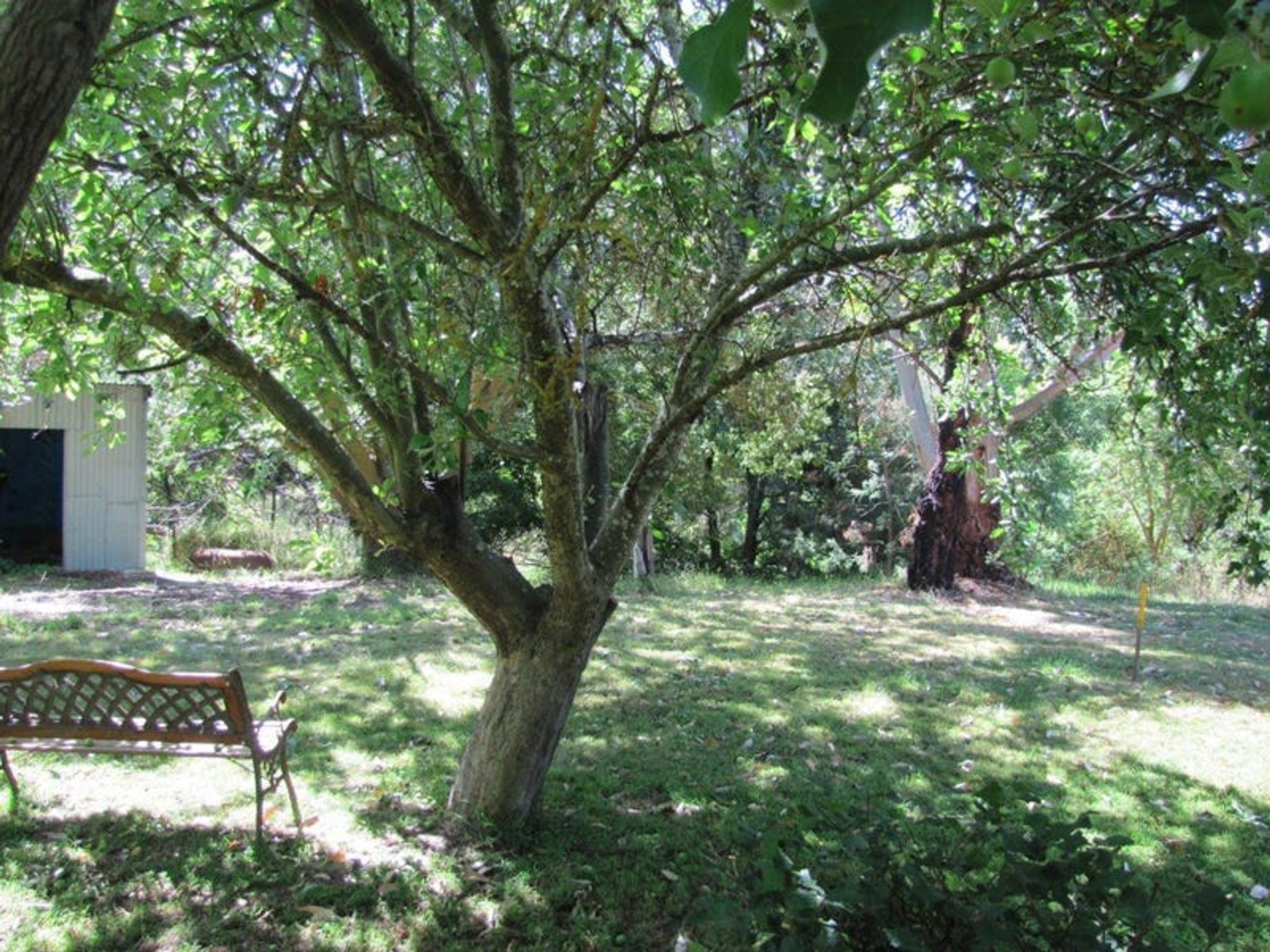 Lot 503, 12 Searle Street, Macclesfield, SA 5153, Macclesfield - Thumbnail 7