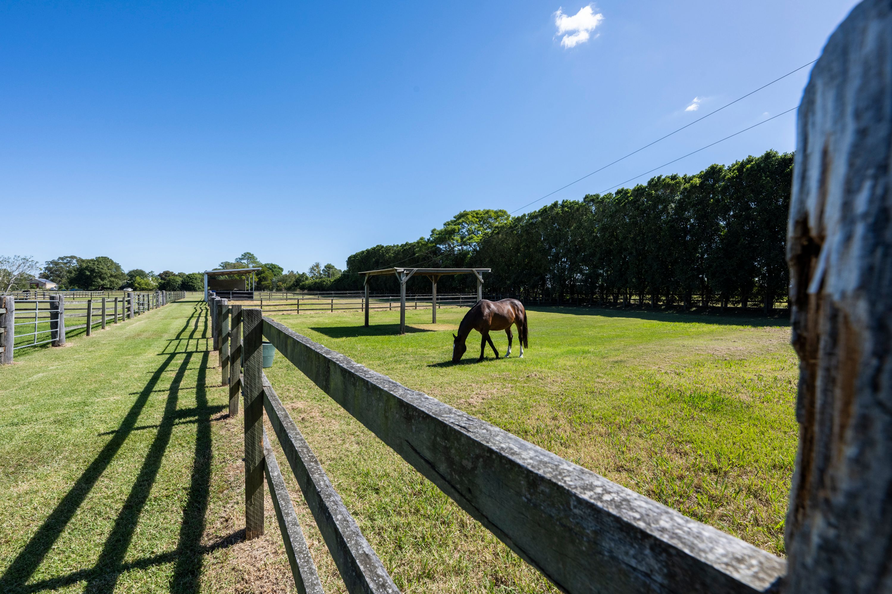 785 Summerland Way, Carrs Creek - Thumbnail 6