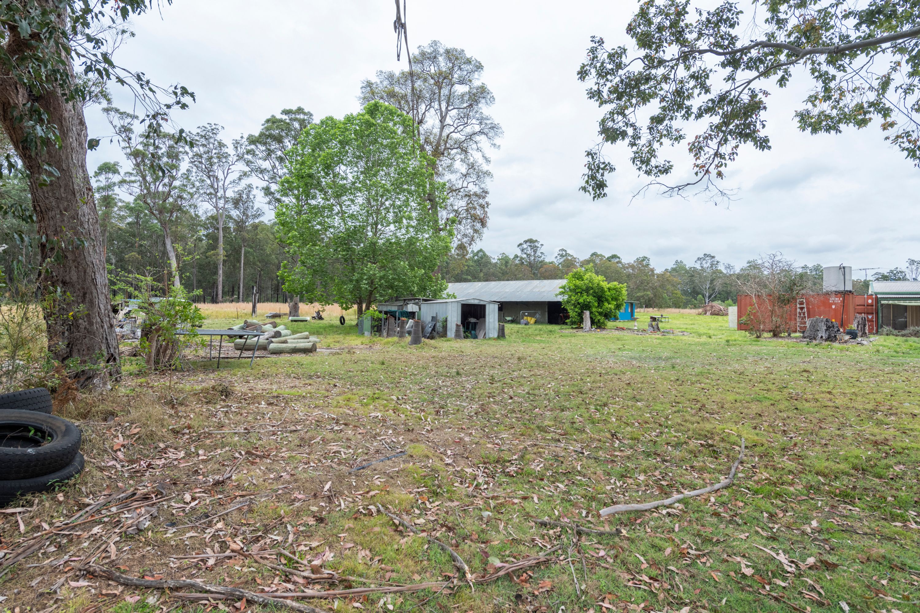391 Dinjerra Road, Glenugie - Thumbnail 6