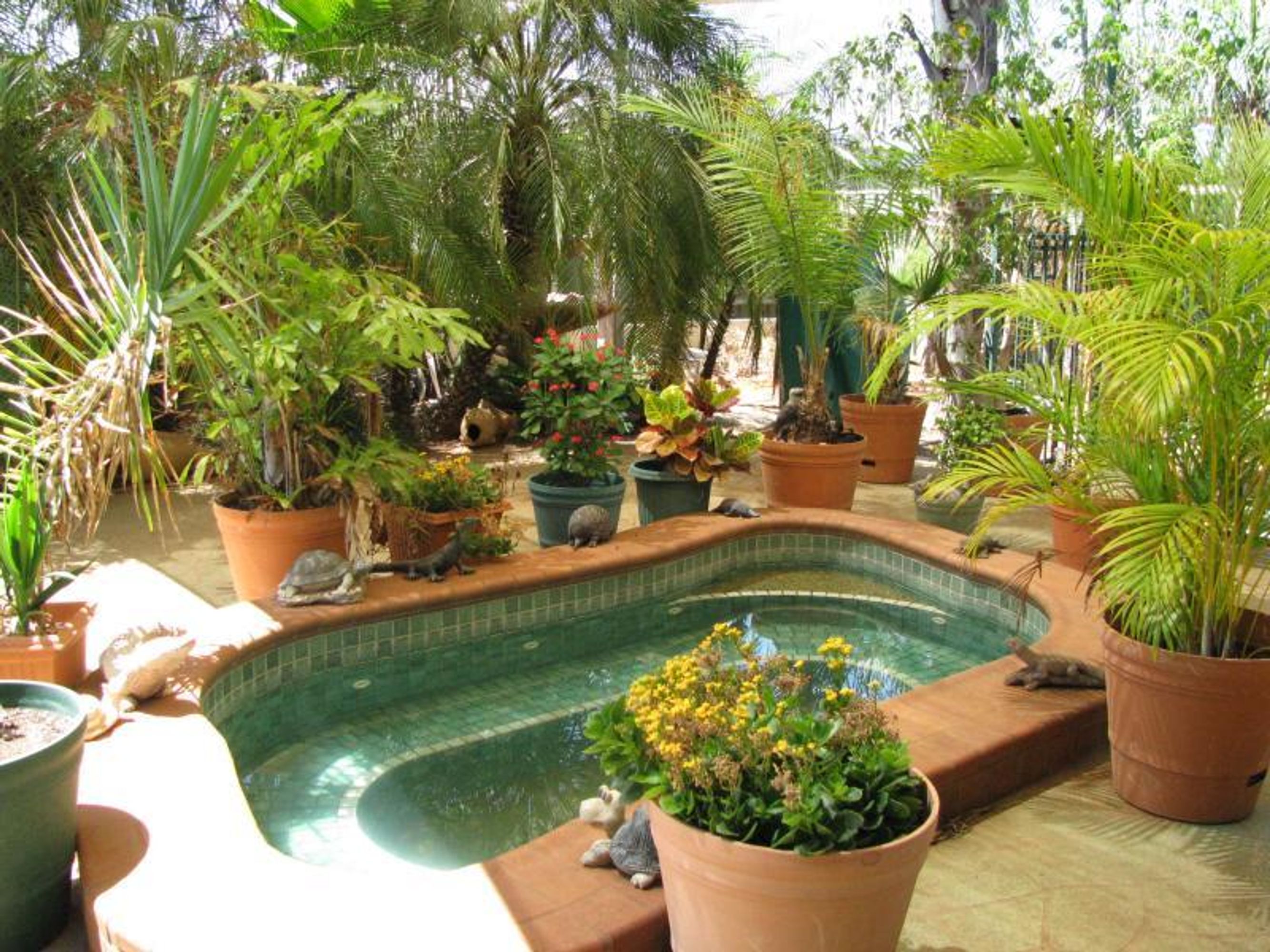 76 Bottlebrush Crescent, South Hedland, South Hedland - Thumbnail 2