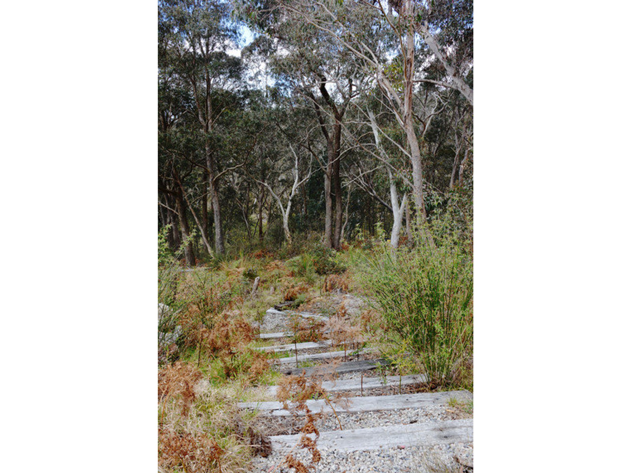 83 Seventh Avenue, Katoomba - Thumbnail 4