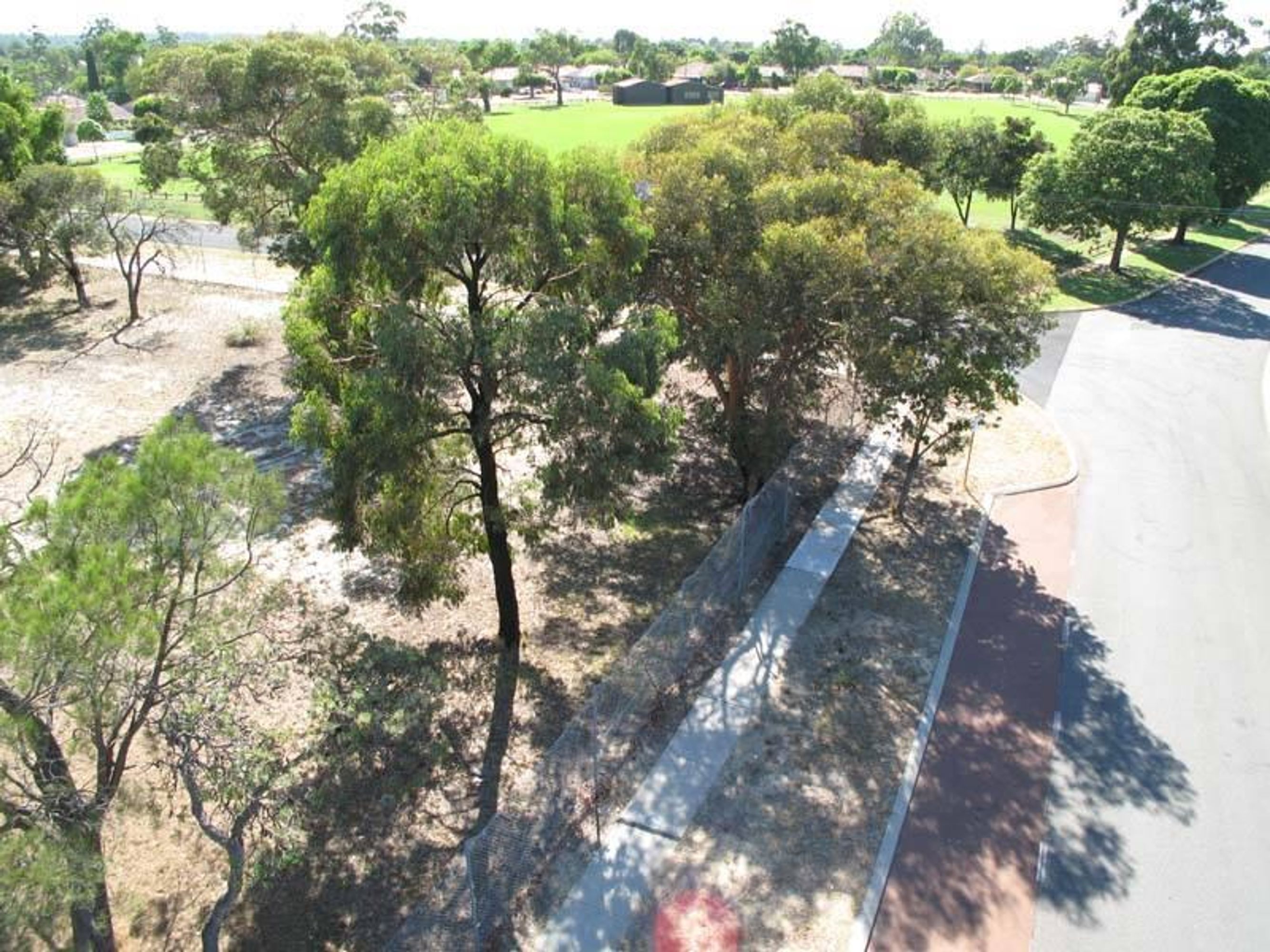 22 Fernhurst Crescent, Balga - Thumbnail 6