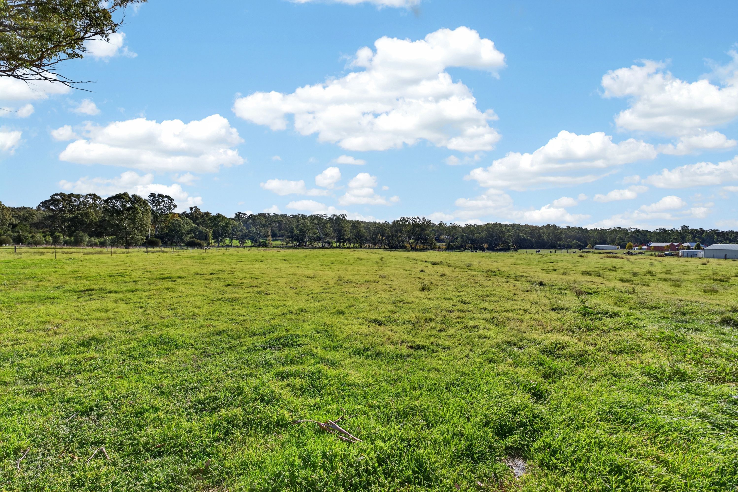 230 Nankervis Road, Mandurang, Mandurang - Thumbnail 8