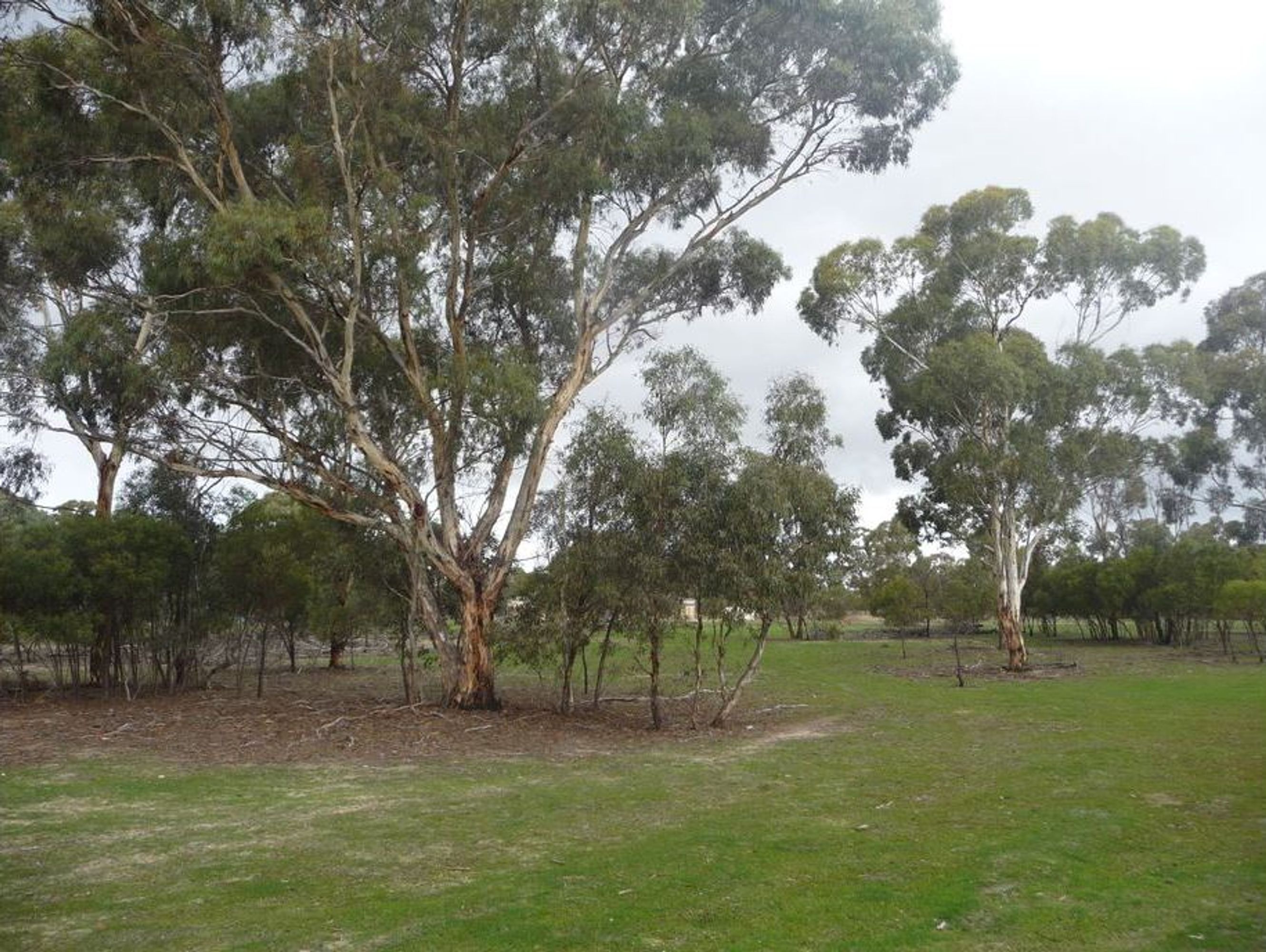 4300 Henty Highway, Haven VIC 3401, Haven - Thumbnail 3