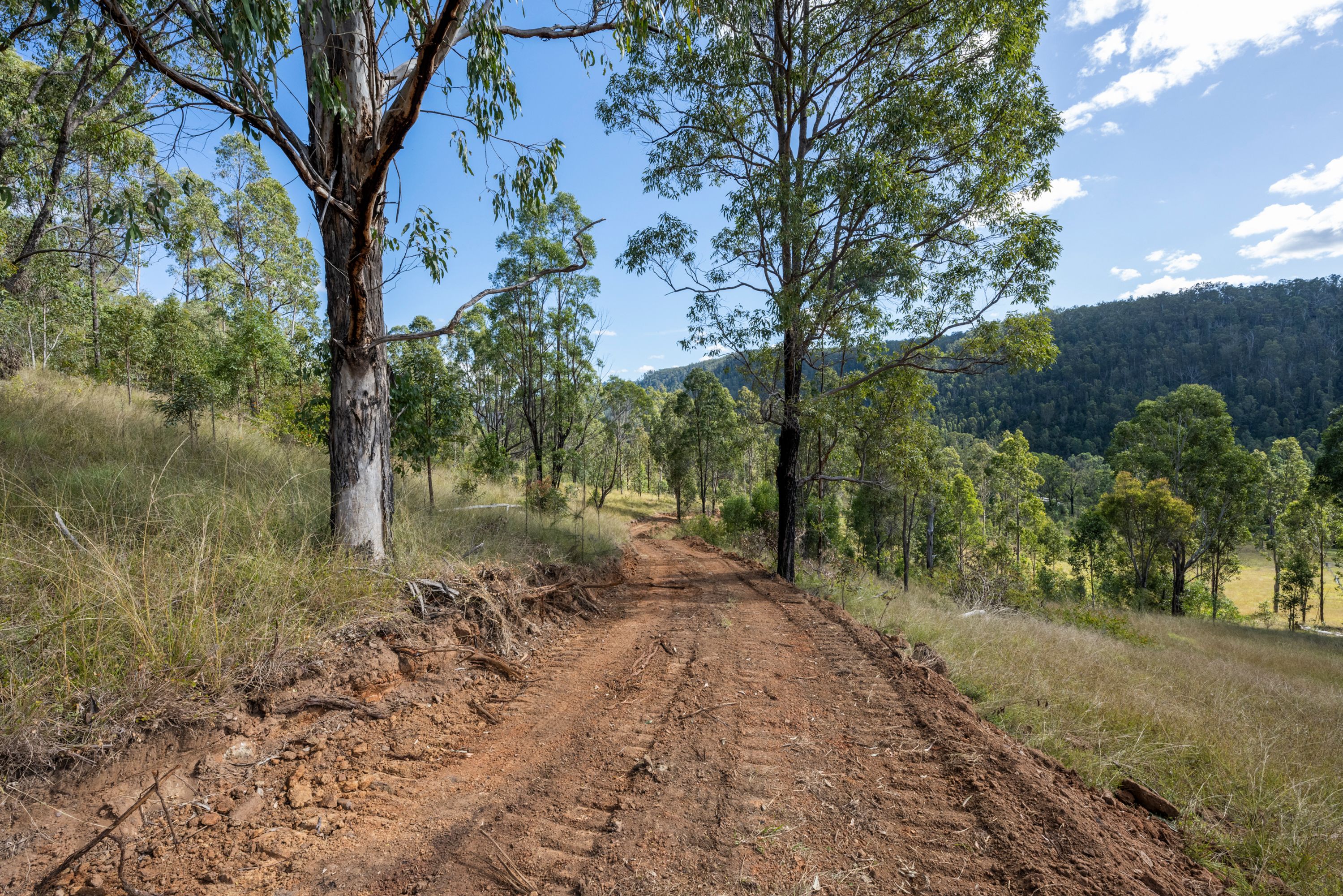 3293 Armidale Road, Blaxlands Creek - Thumbnail 4