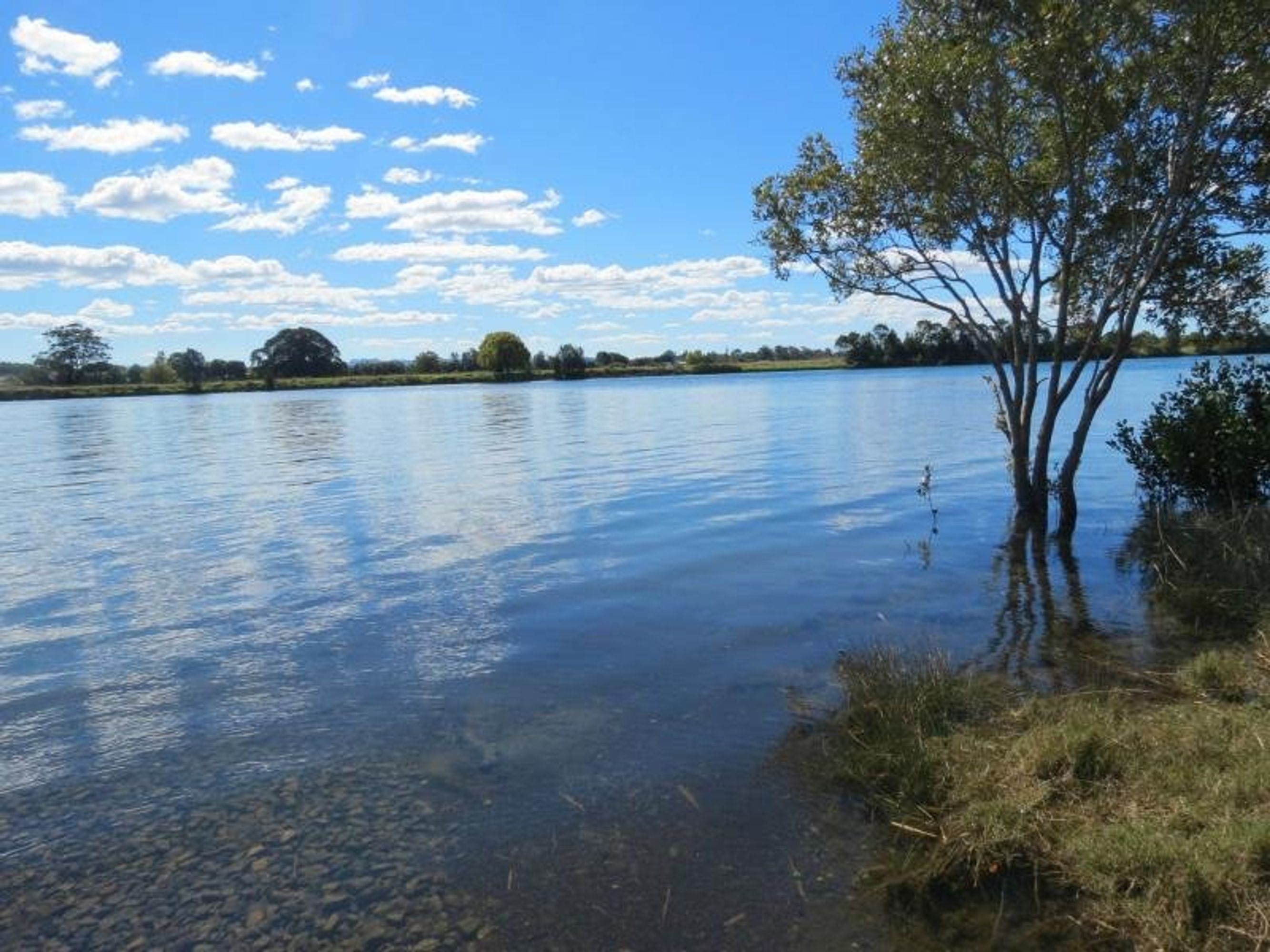 349-355 Glenthorne Road, Glenthorne, Glenthorne - Thumbnail 6