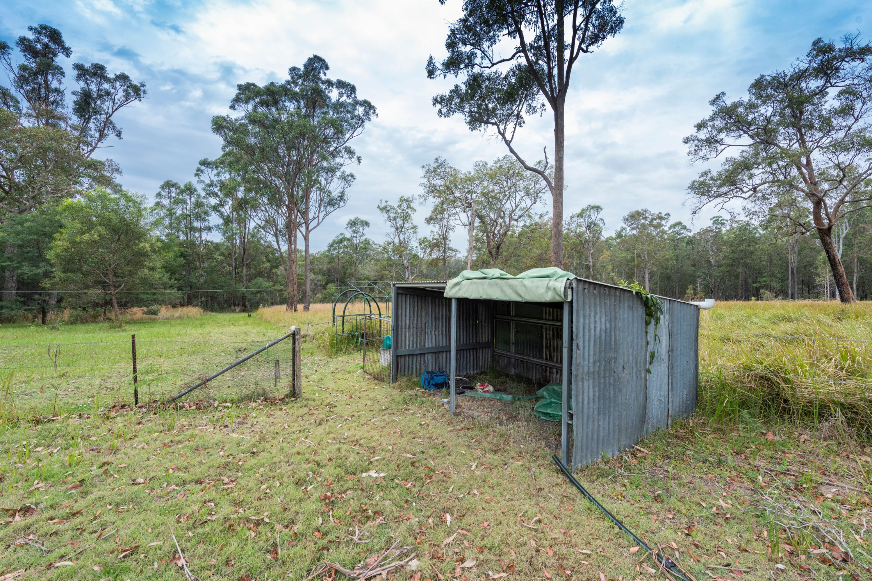 391 Dinjerra Road, Glenugie - Thumbnail 7