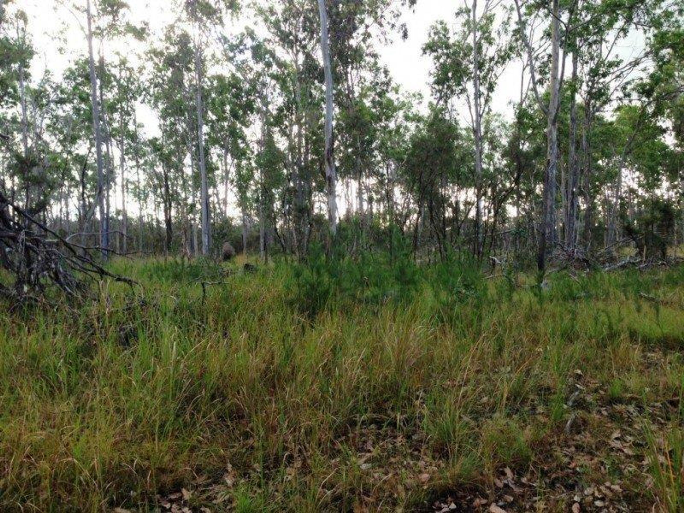 49/49/Lot 48 350, 1, 1, 1 Armidale Road, Coutts Crossing - Thumbnail 5