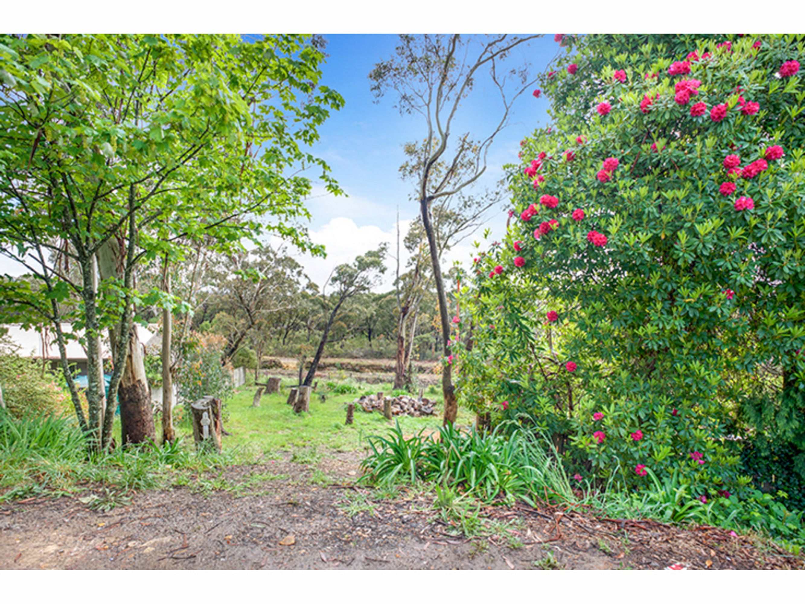 301 Bathurst Road, Katoomba - Thumbnail 2