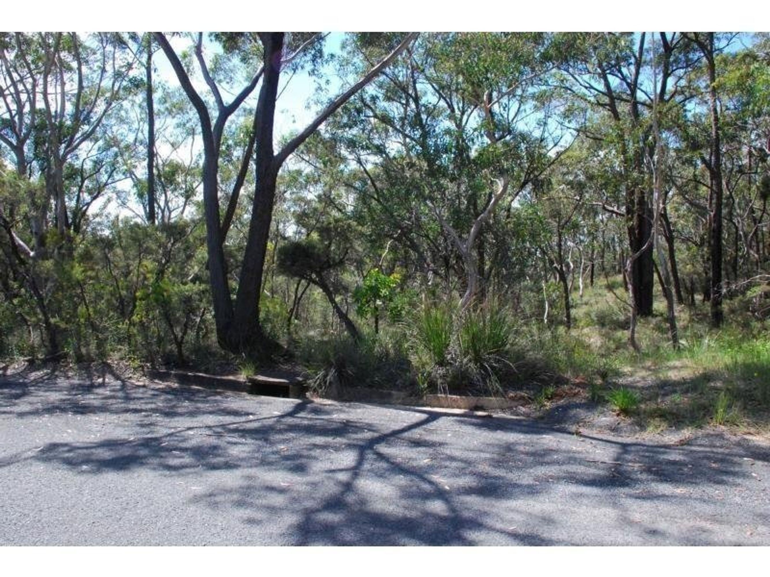 19-21 19-21 Redfern Street, Wentworth Falls - Thumbnail 3