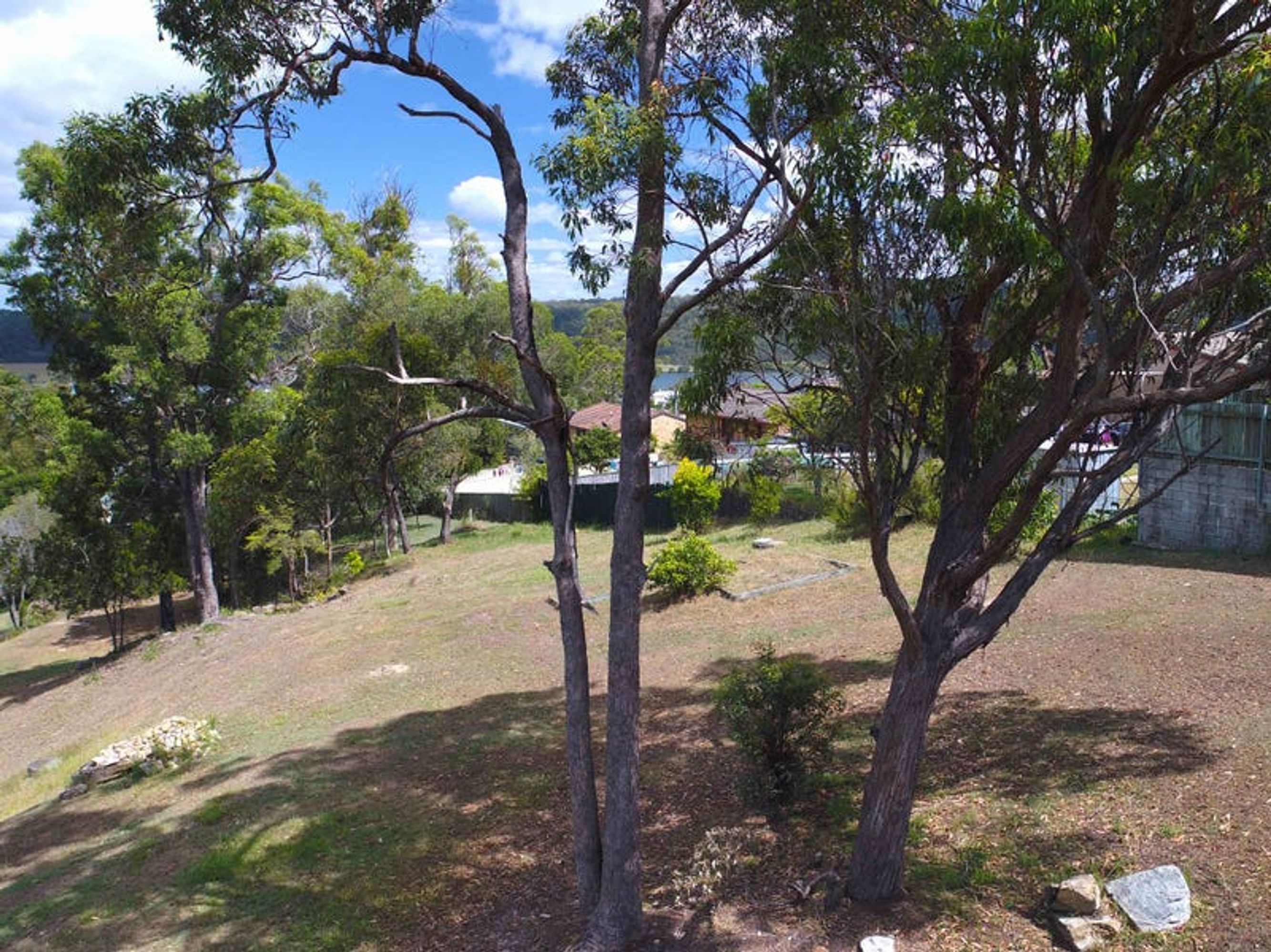 7 Glenbrook Court, Maclean - Thumbnail 7