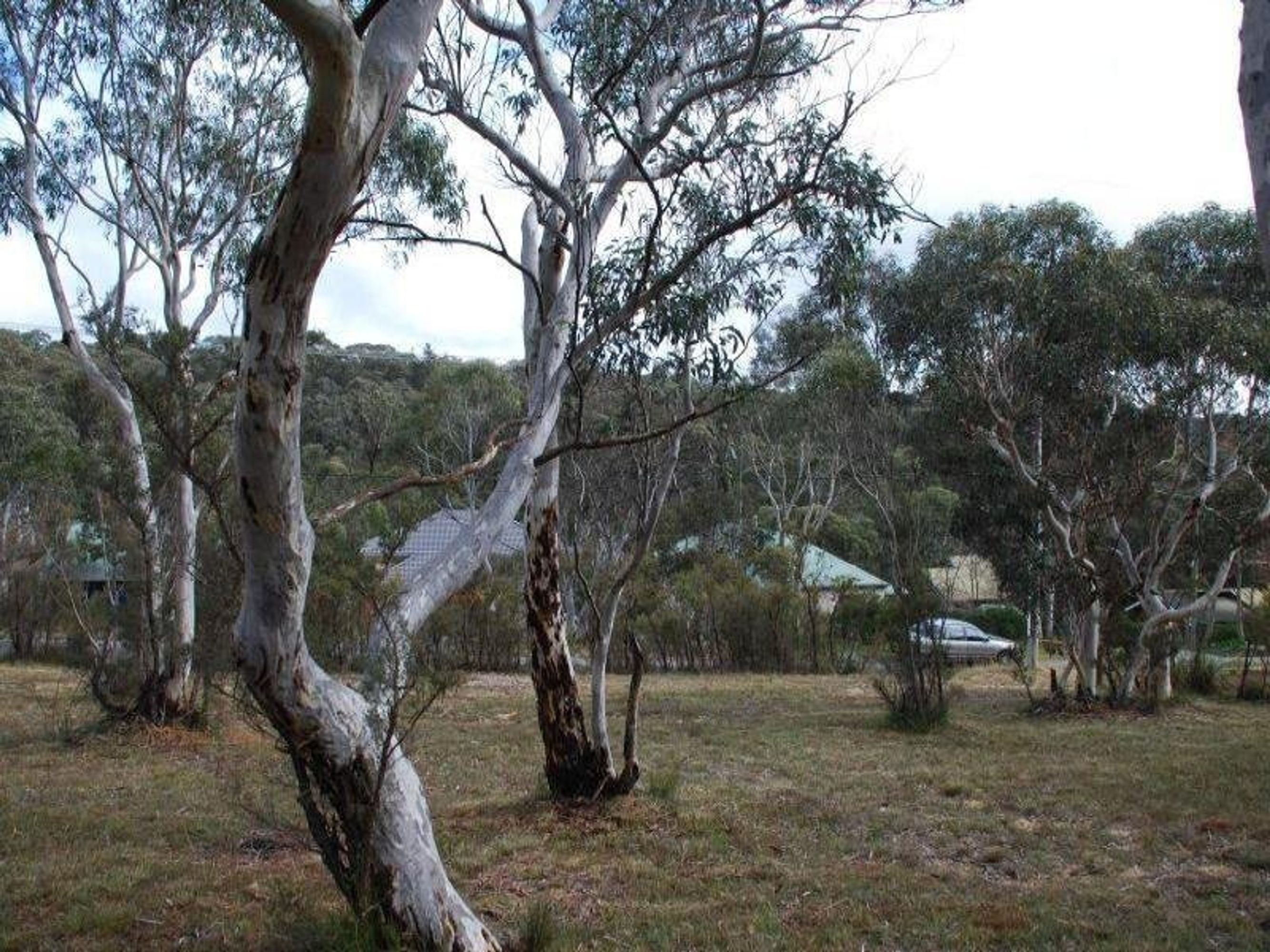 21 First Avenue, Katoomba - Thumbnail 2
