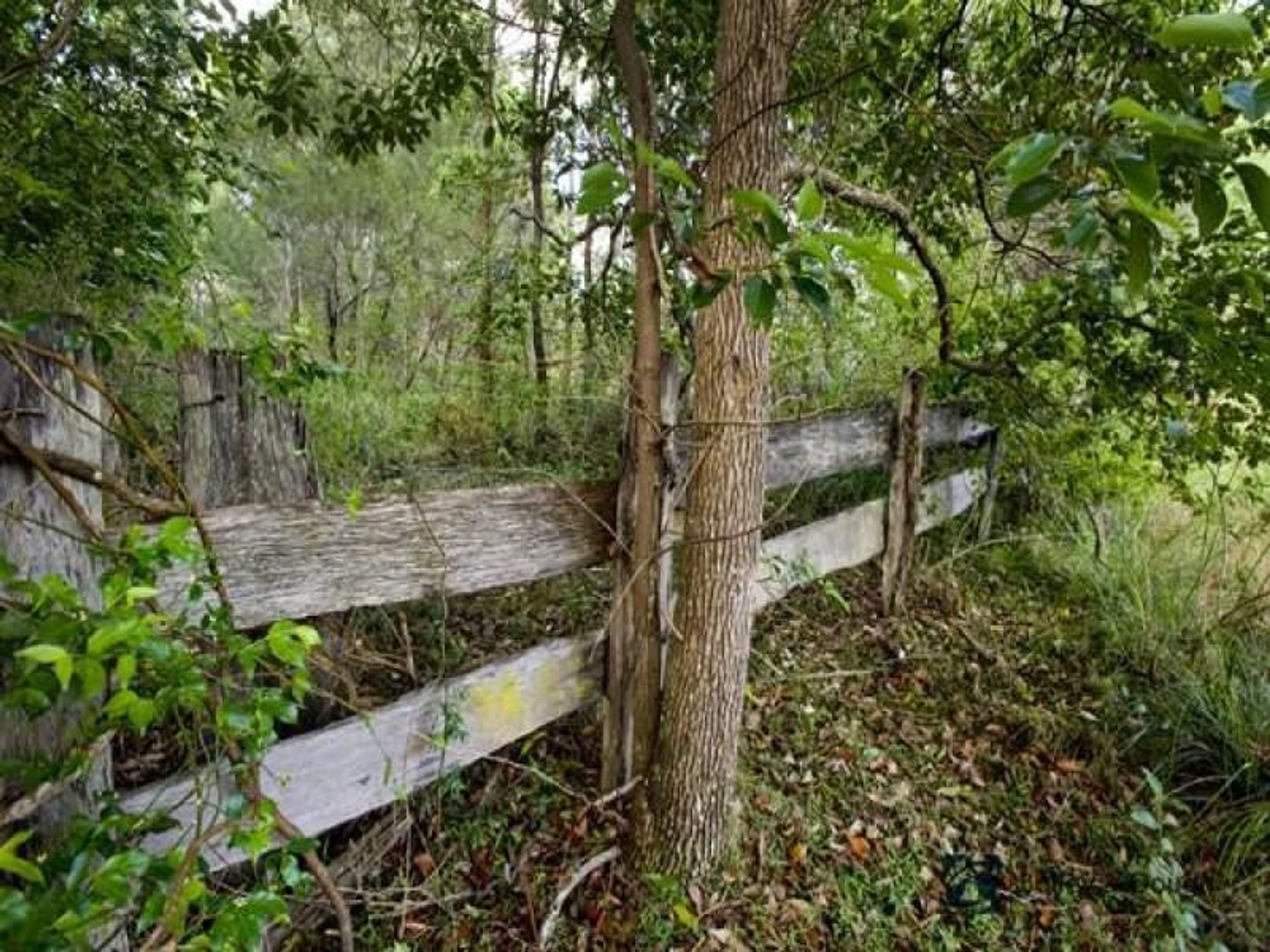 Lot 390 Sunnyside Road, Glenugie - Thumbnail 6