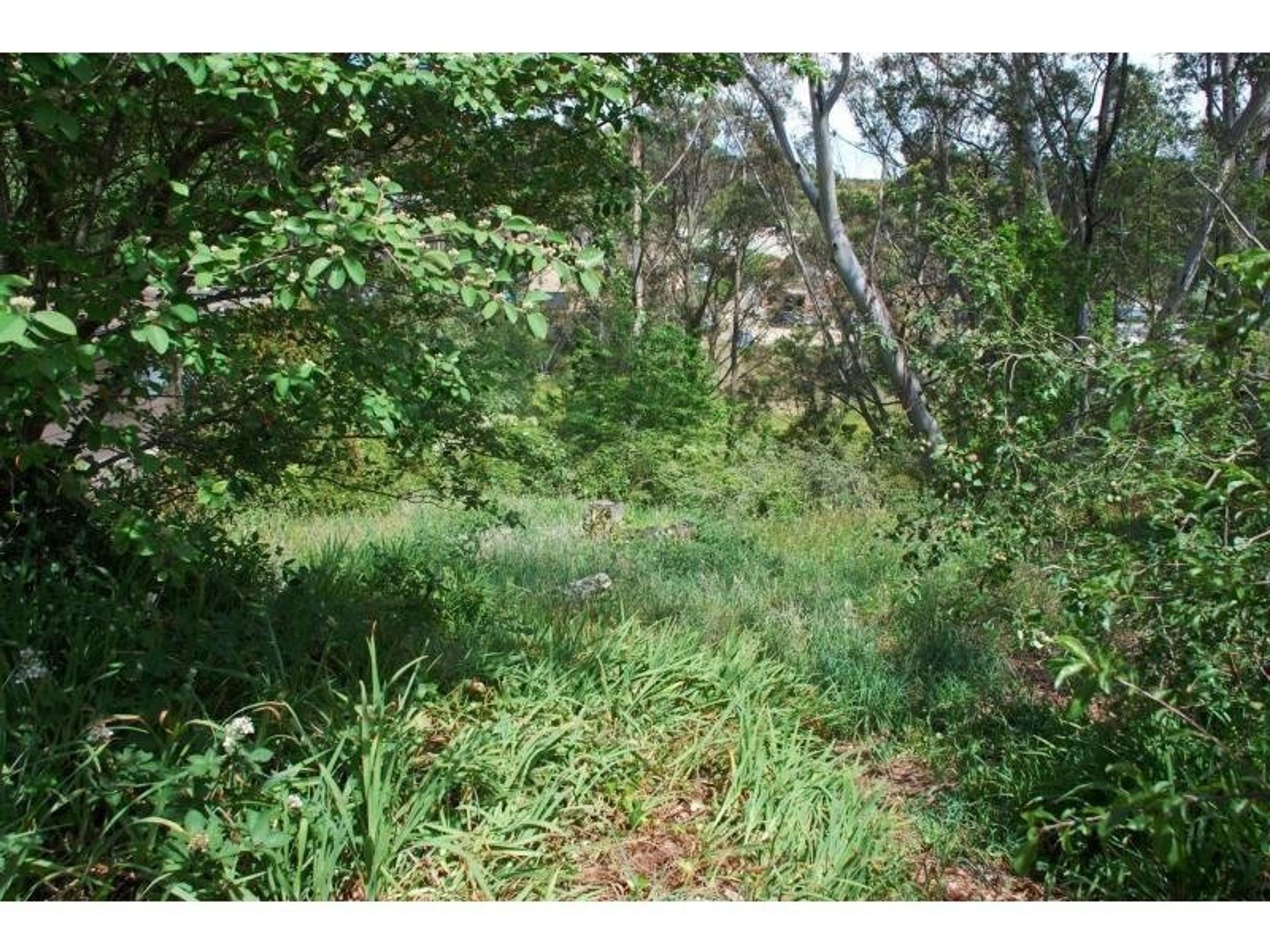 29 Freelander Avenue, Katoomba - Thumbnail 3