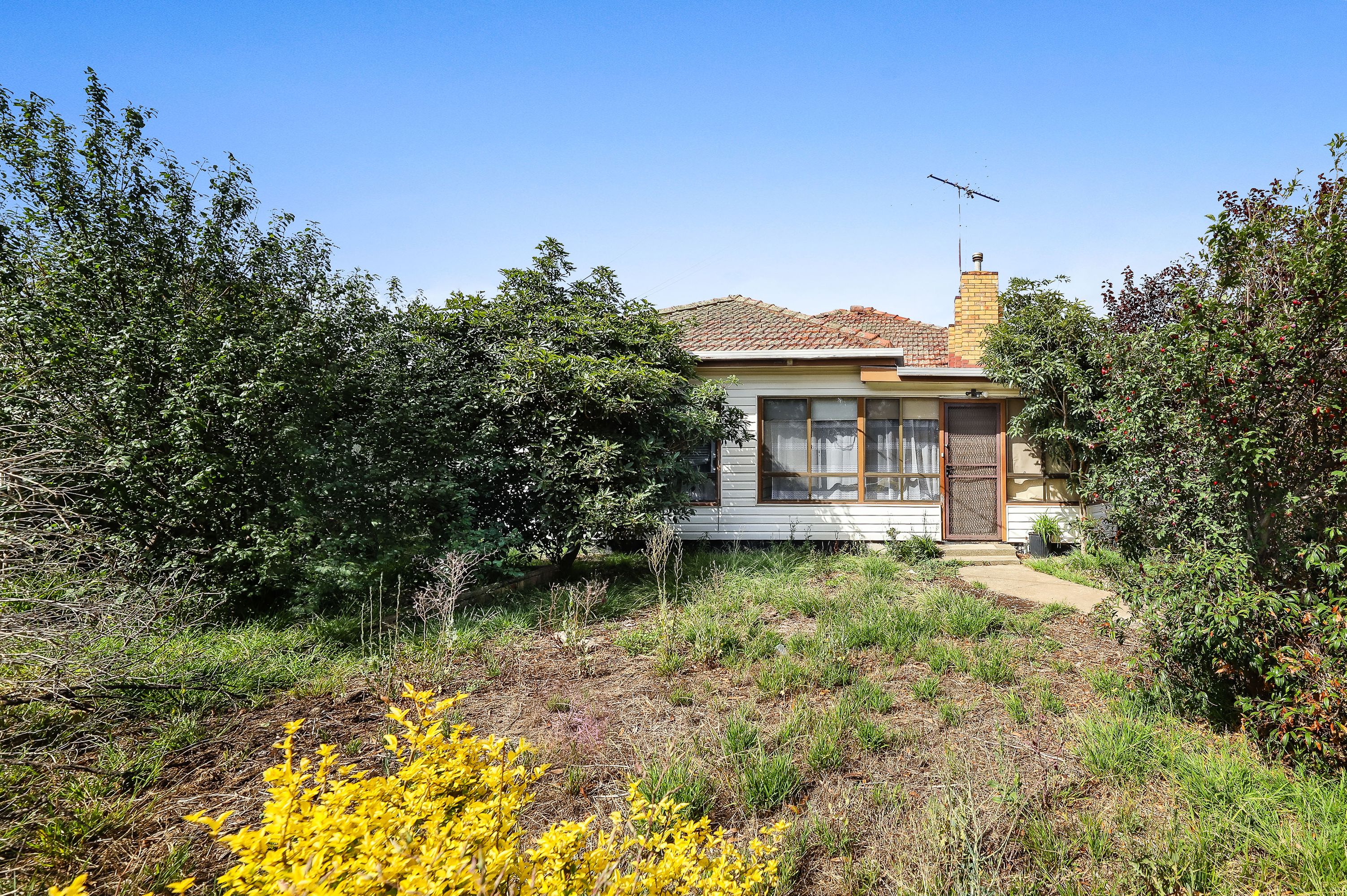 30 Selwyn Street, Albion - Thumbnail 6