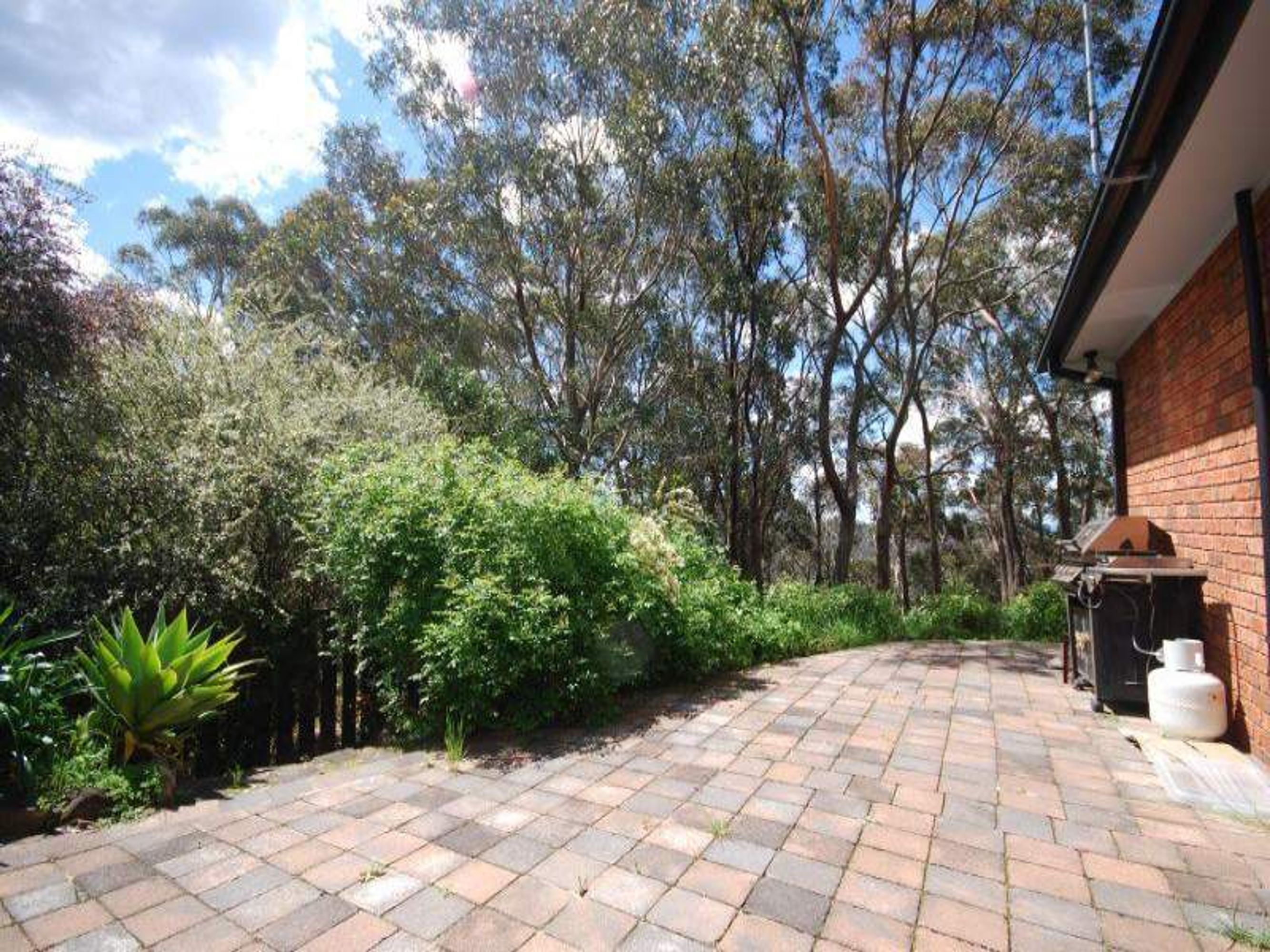 20 Claines Cres, Wentworth Falls - Thumbnail 3