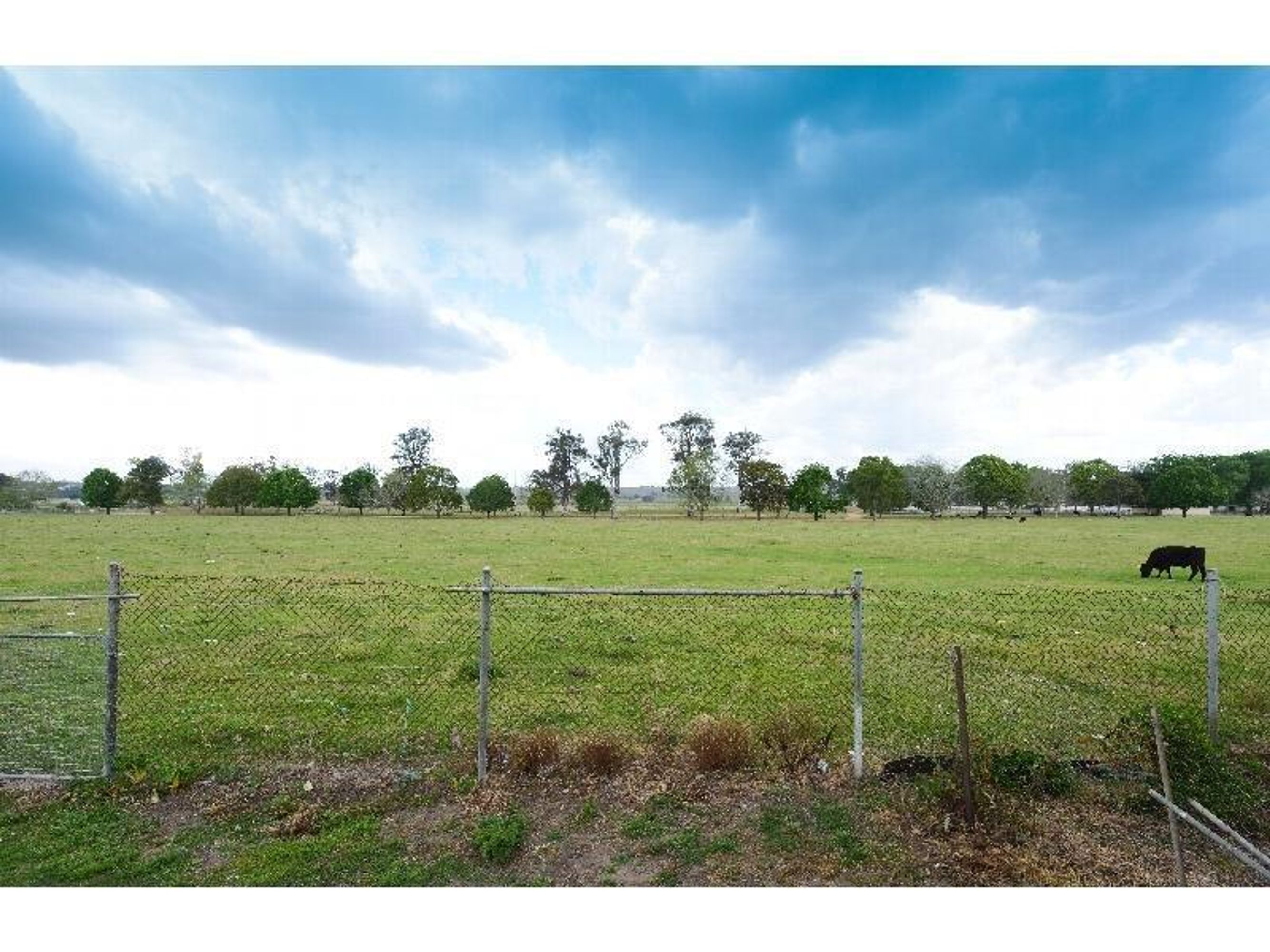 262 Ryan Street, South Grafton - Thumbnail 6