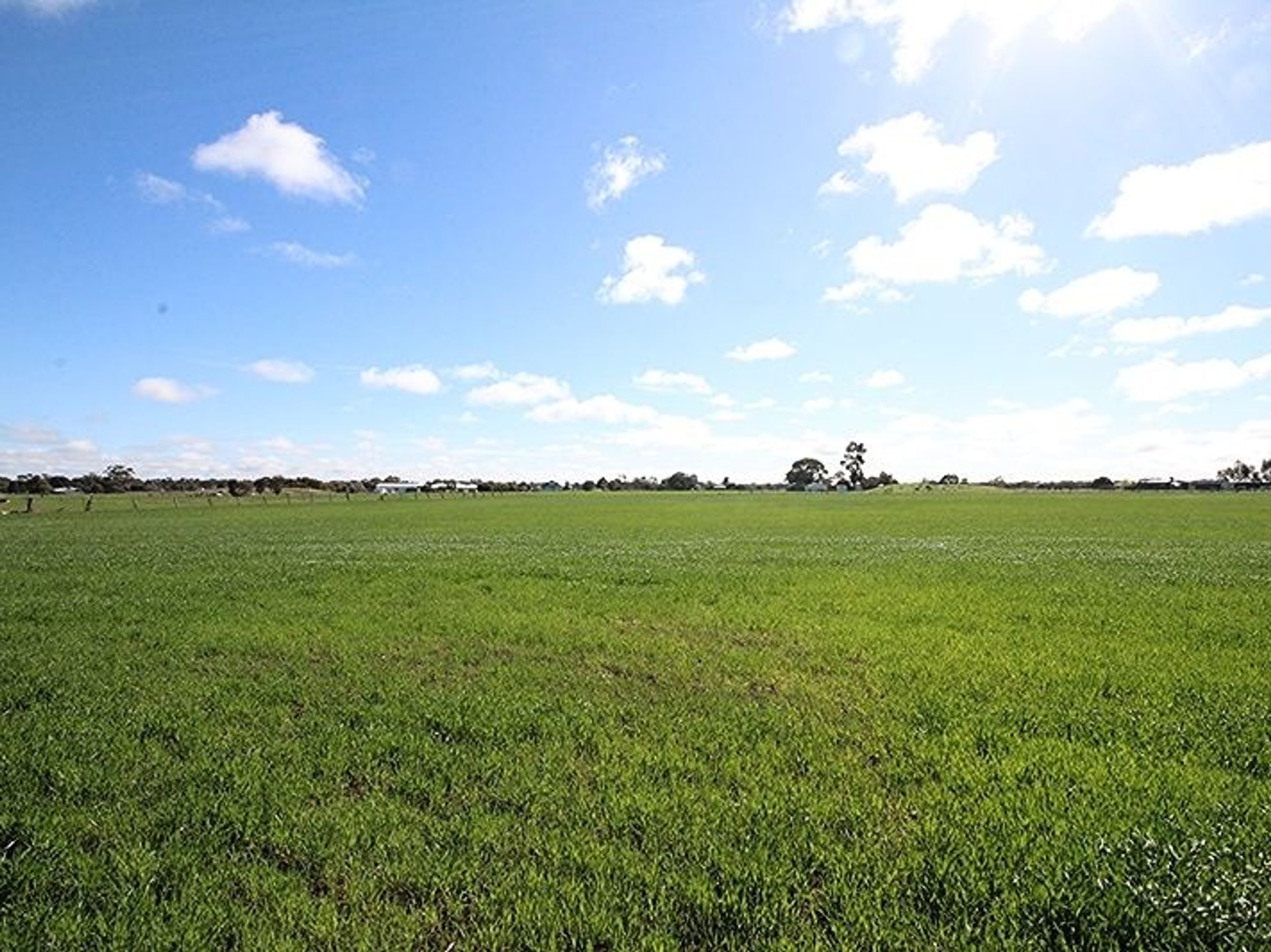 195 Browns Road, Riverside VIC 3401, Riverside - Thumbnail 3
