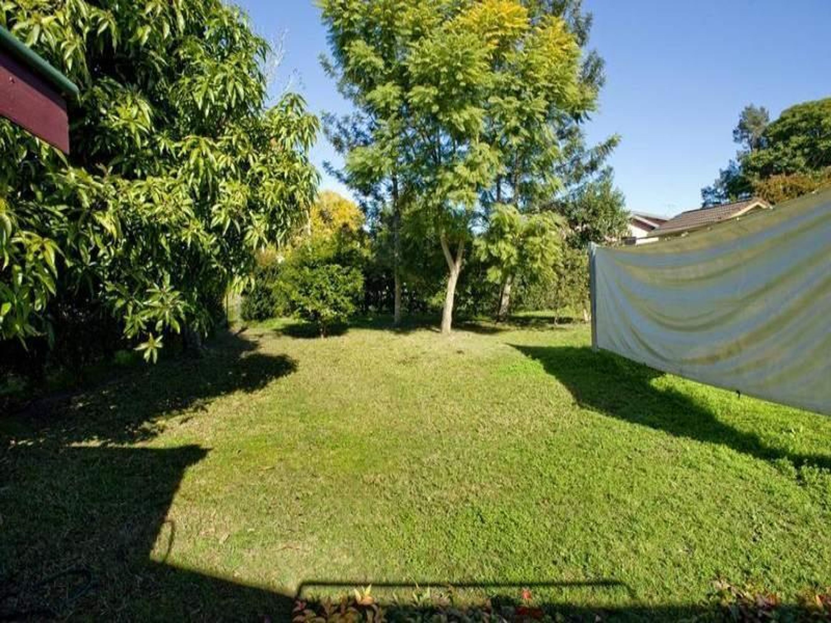 211 Dobie Street, Grafton - Thumbnail 5