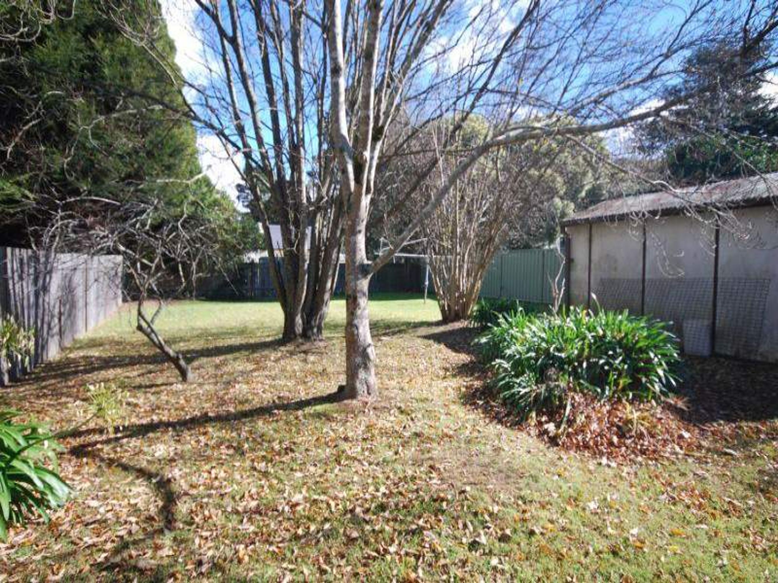 26 Barton St, Katoomba - Thumbnail 5