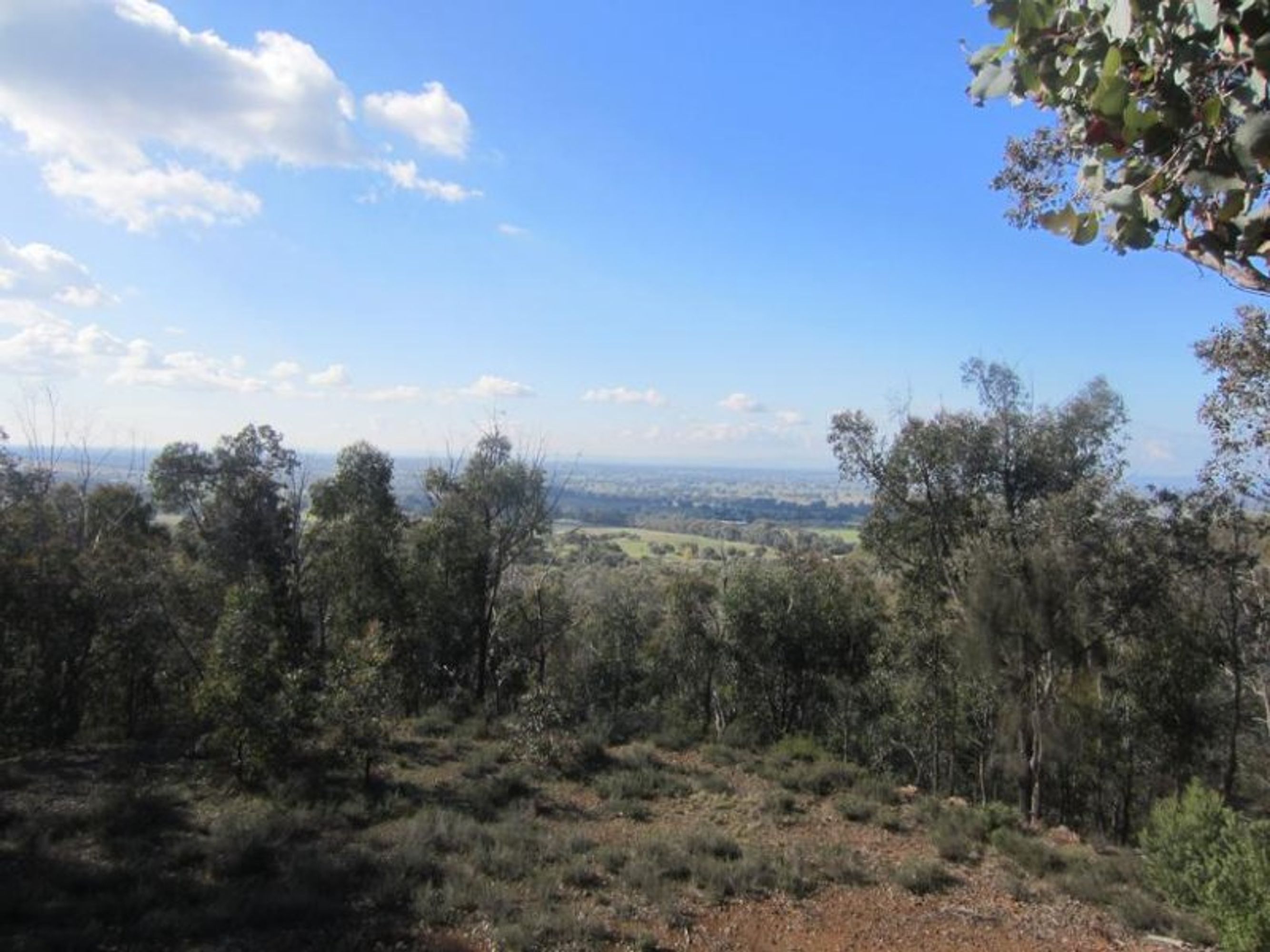 wangaratta, Wangaratta - Thumbnail 2