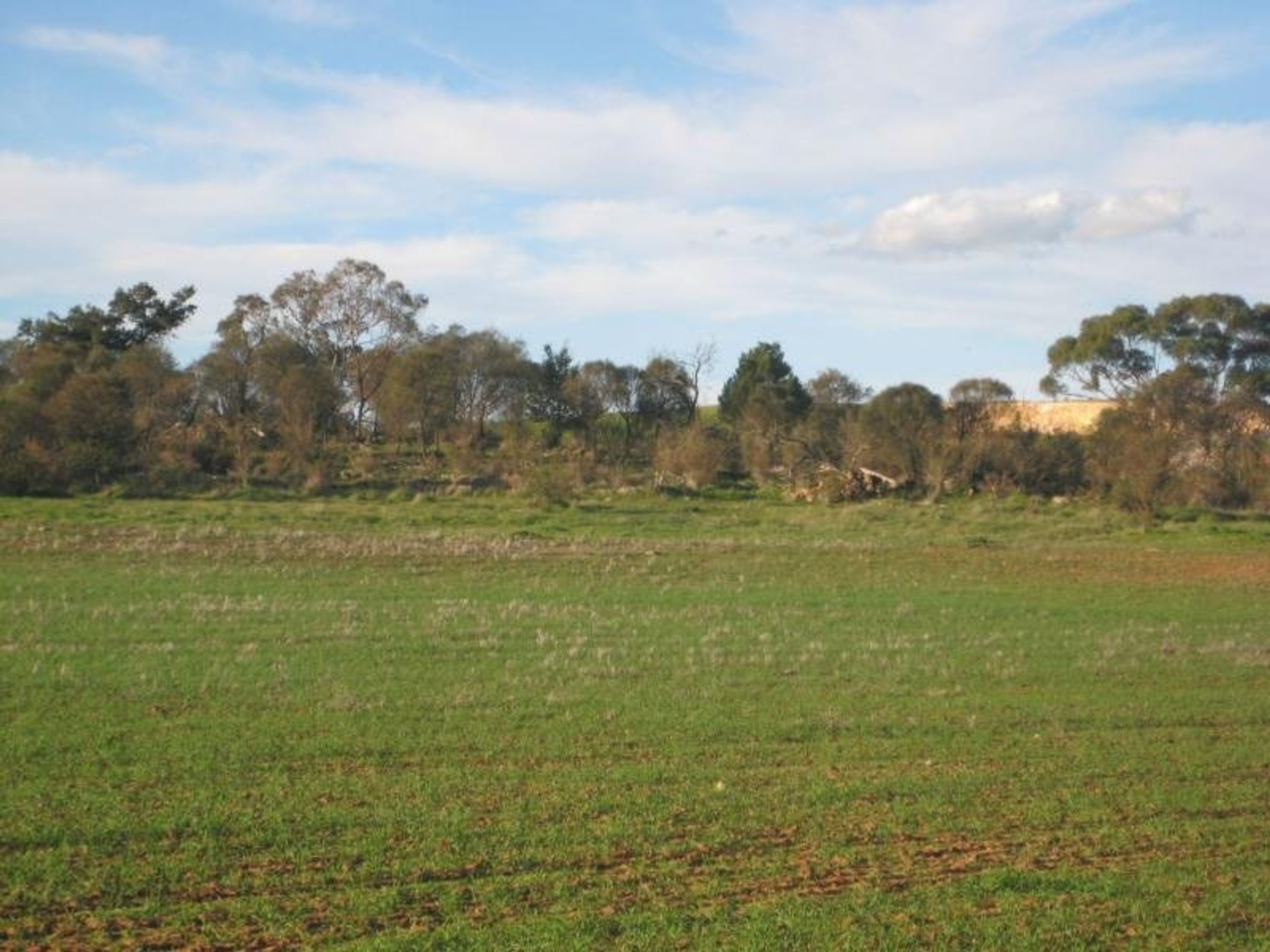 Lot 96 Anders Road, Rockleigh, SA 5254, Rockleigh - Thumbnail 2