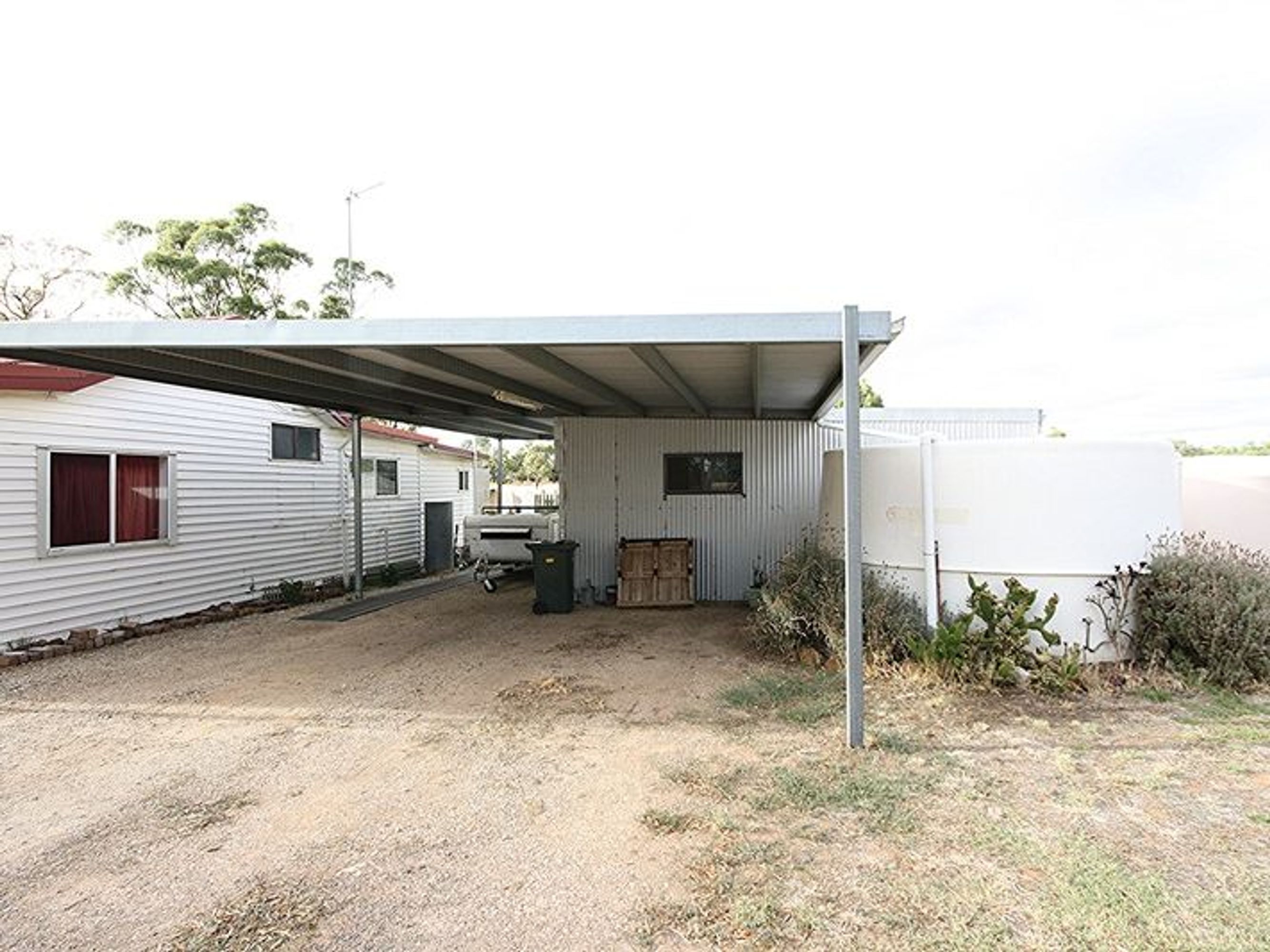403 Forbidden, Wonwondah - Thumbnail 2