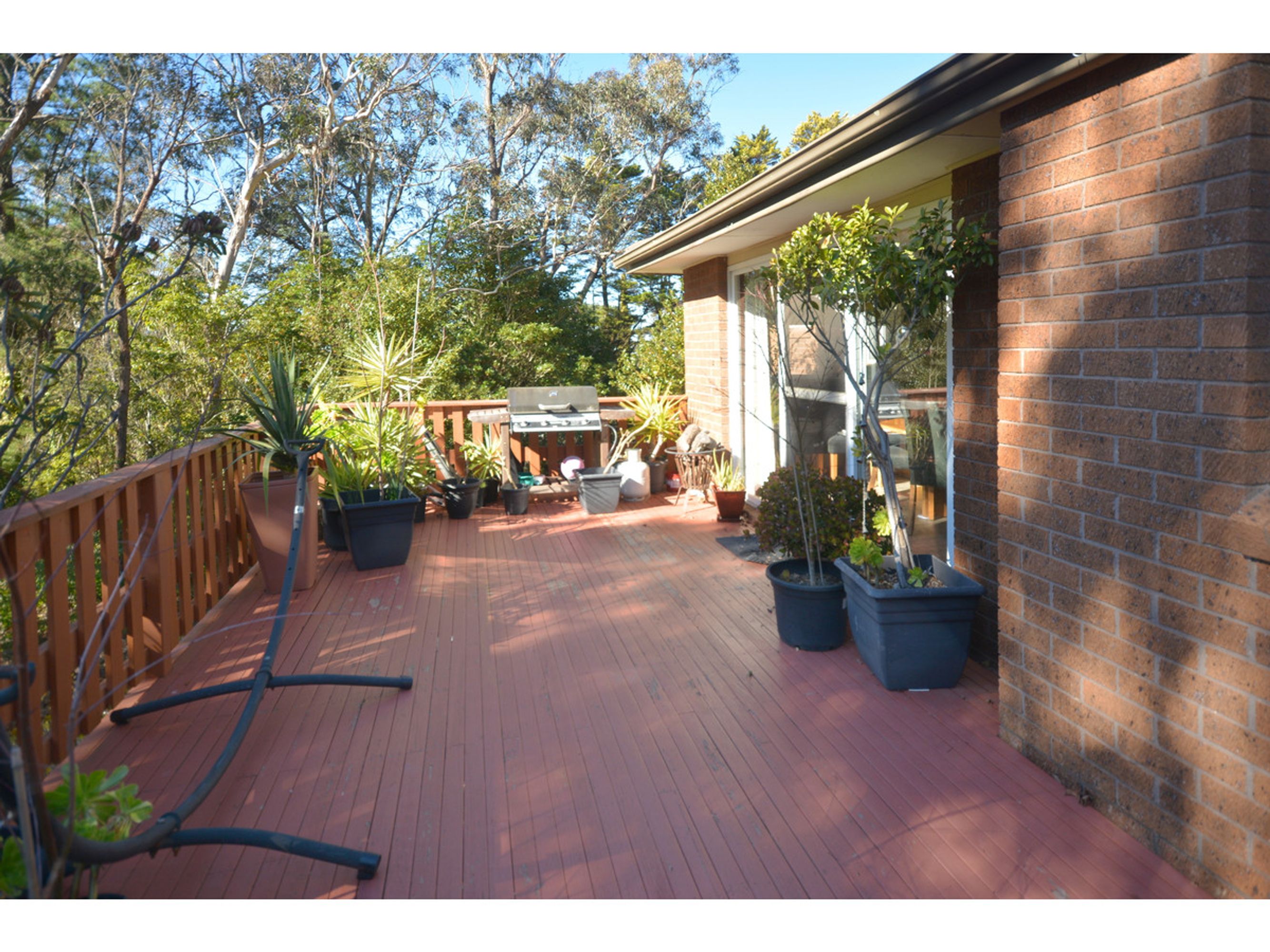 48 Northcote Road, Leura - Thumbnail 5